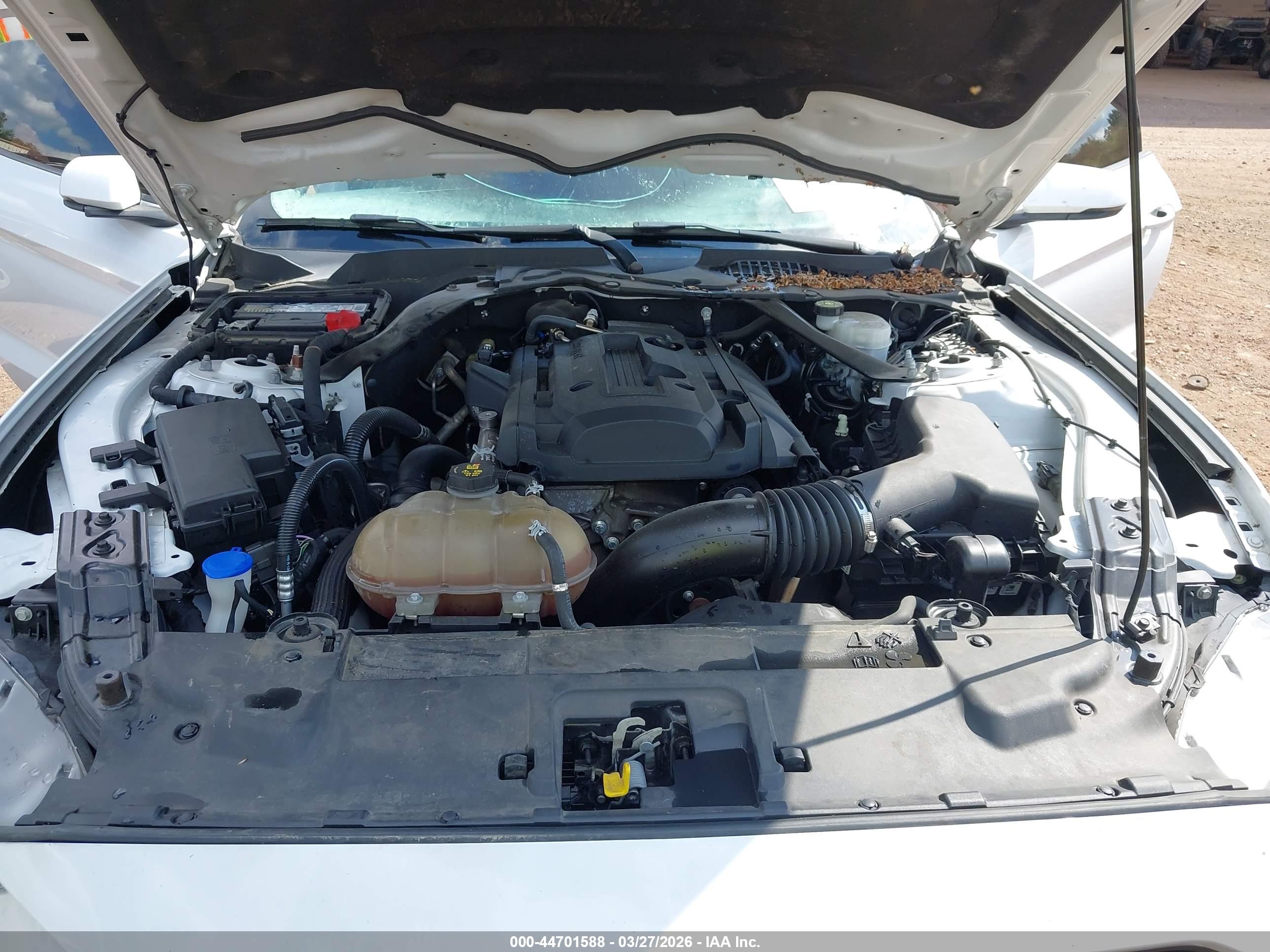 FORD MUSTANG image 10