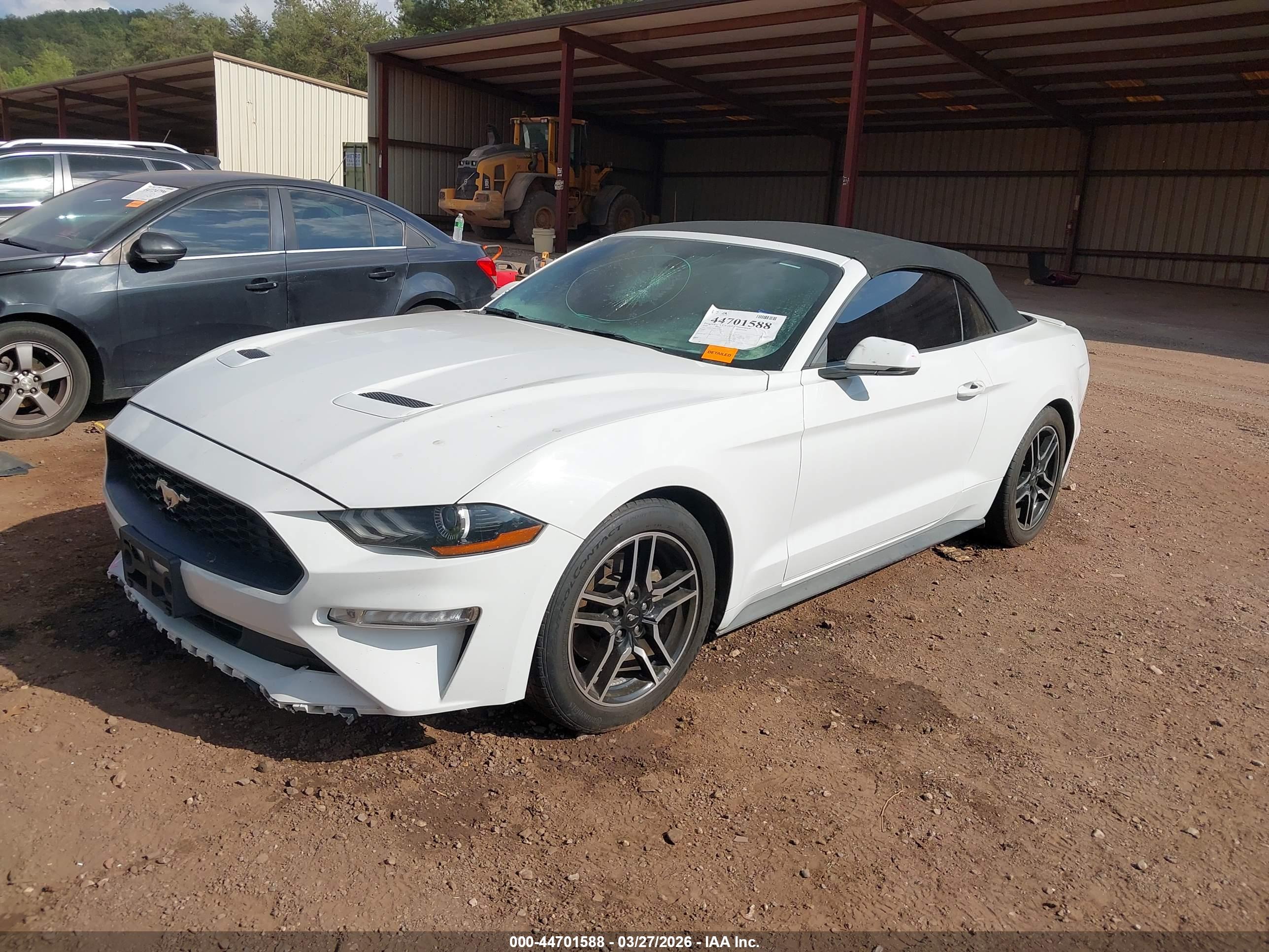 FORD MUSTANG image 2