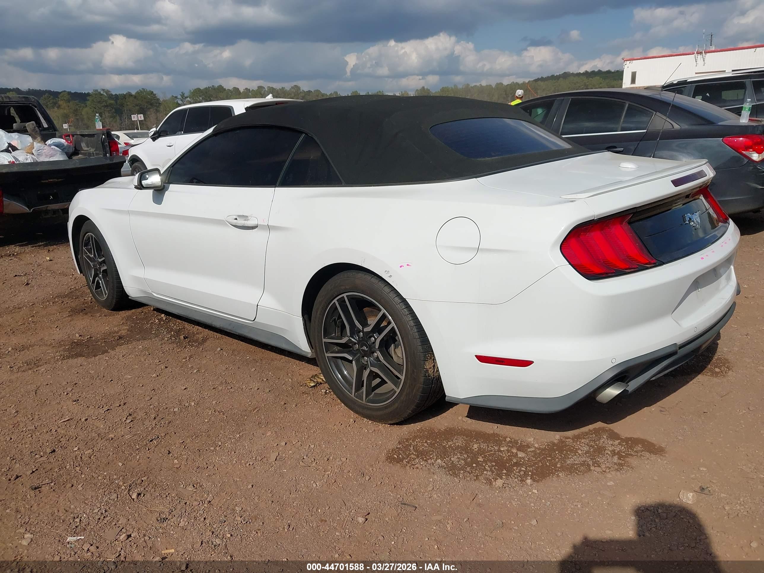 FORD MUSTANG image 3