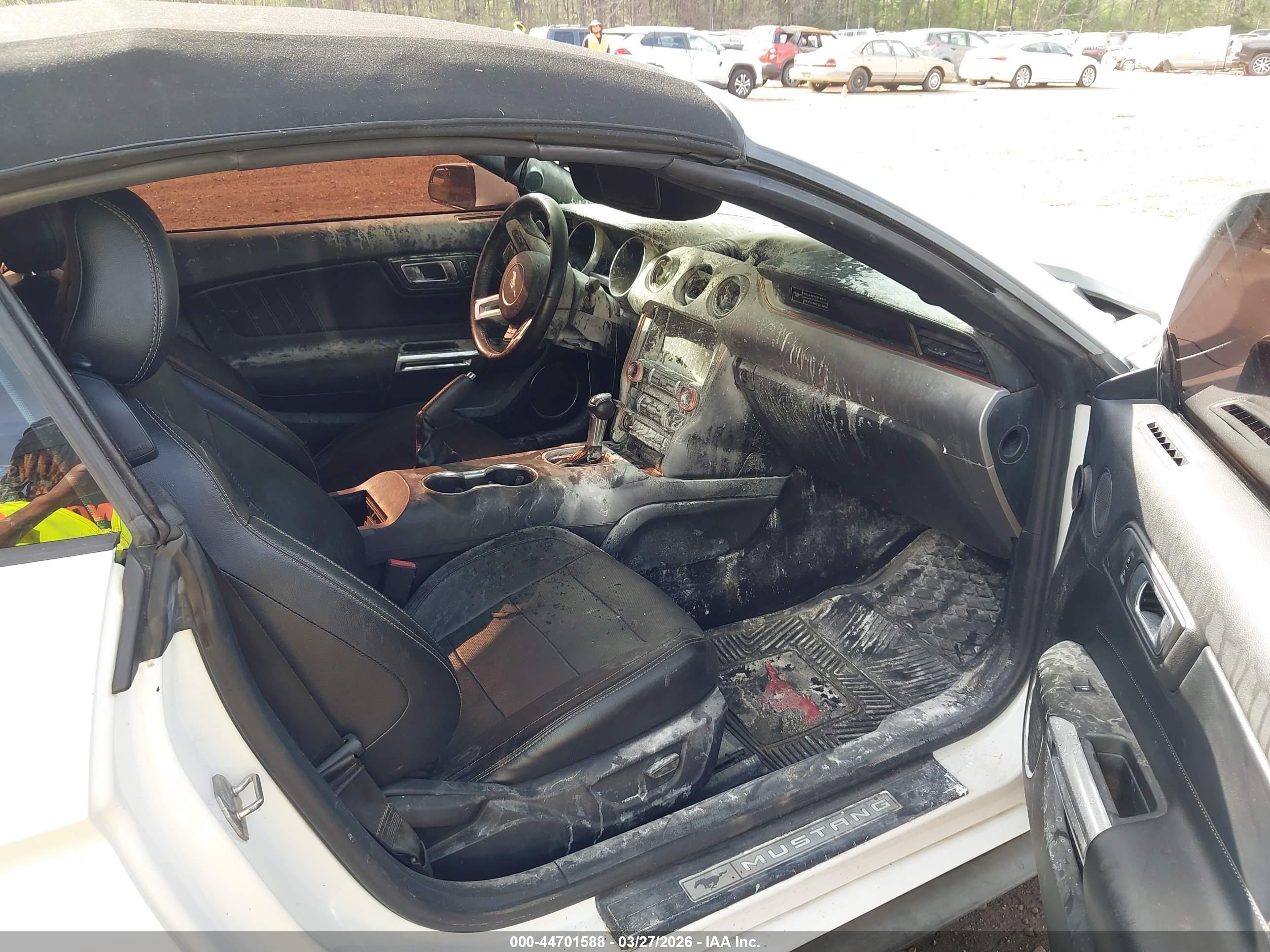 FORD MUSTANG image 5