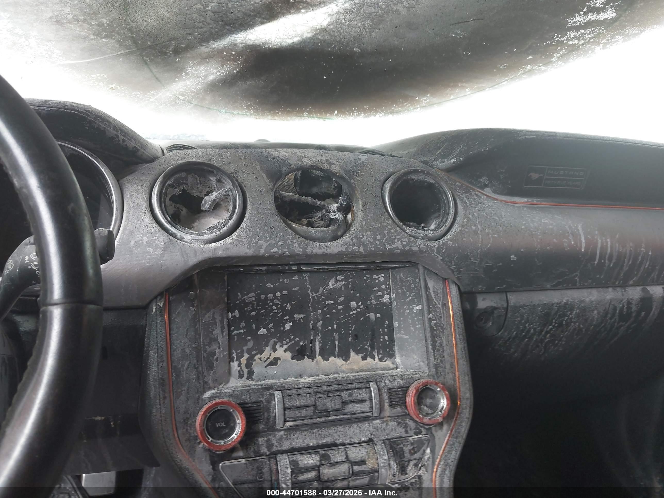 FORD MUSTANG image 6