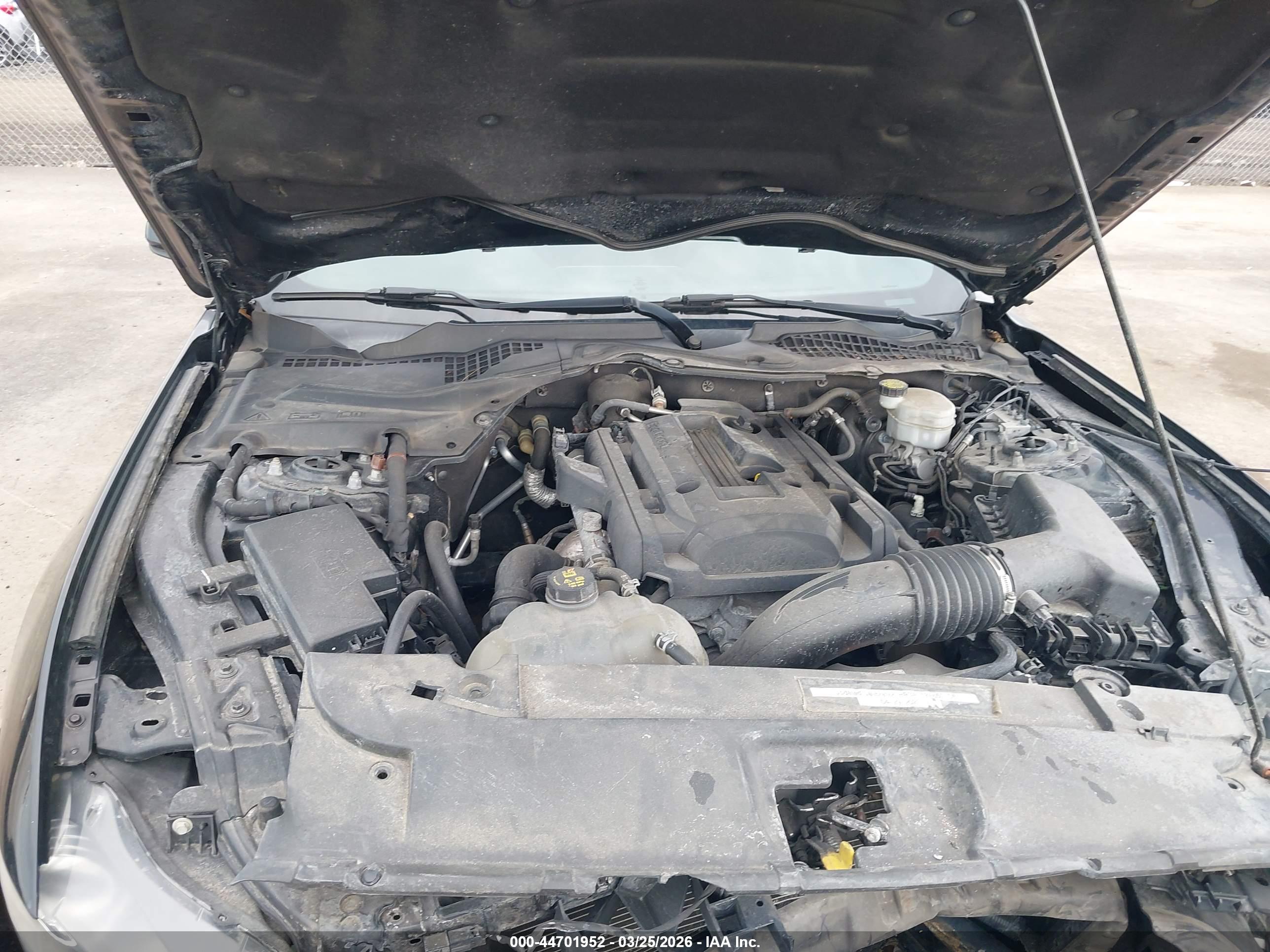 FORD MUSTANG image 10