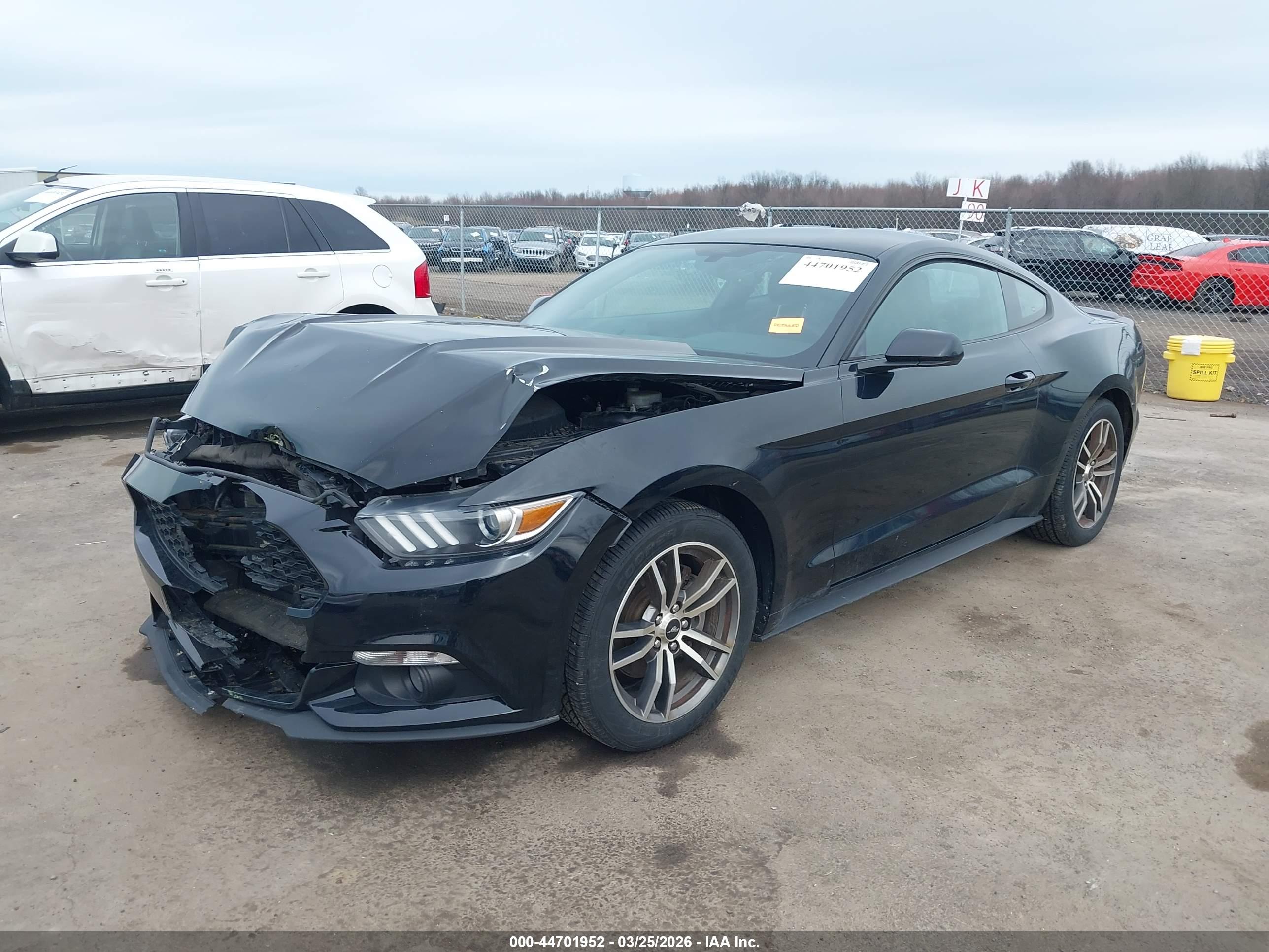 FORD MUSTANG image 2