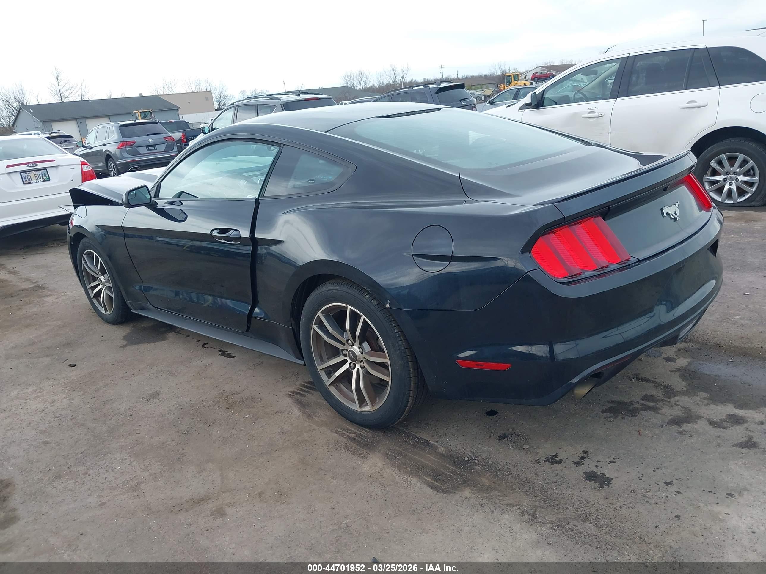 FORD MUSTANG image 3