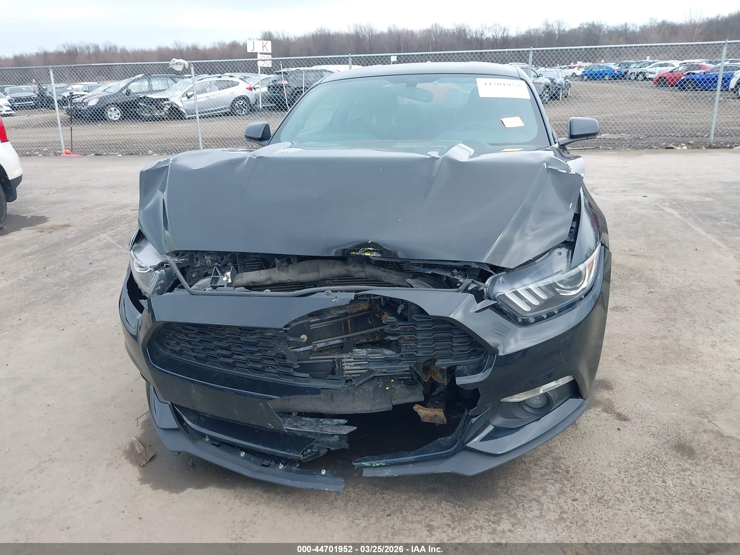 FORD MUSTANG image 6