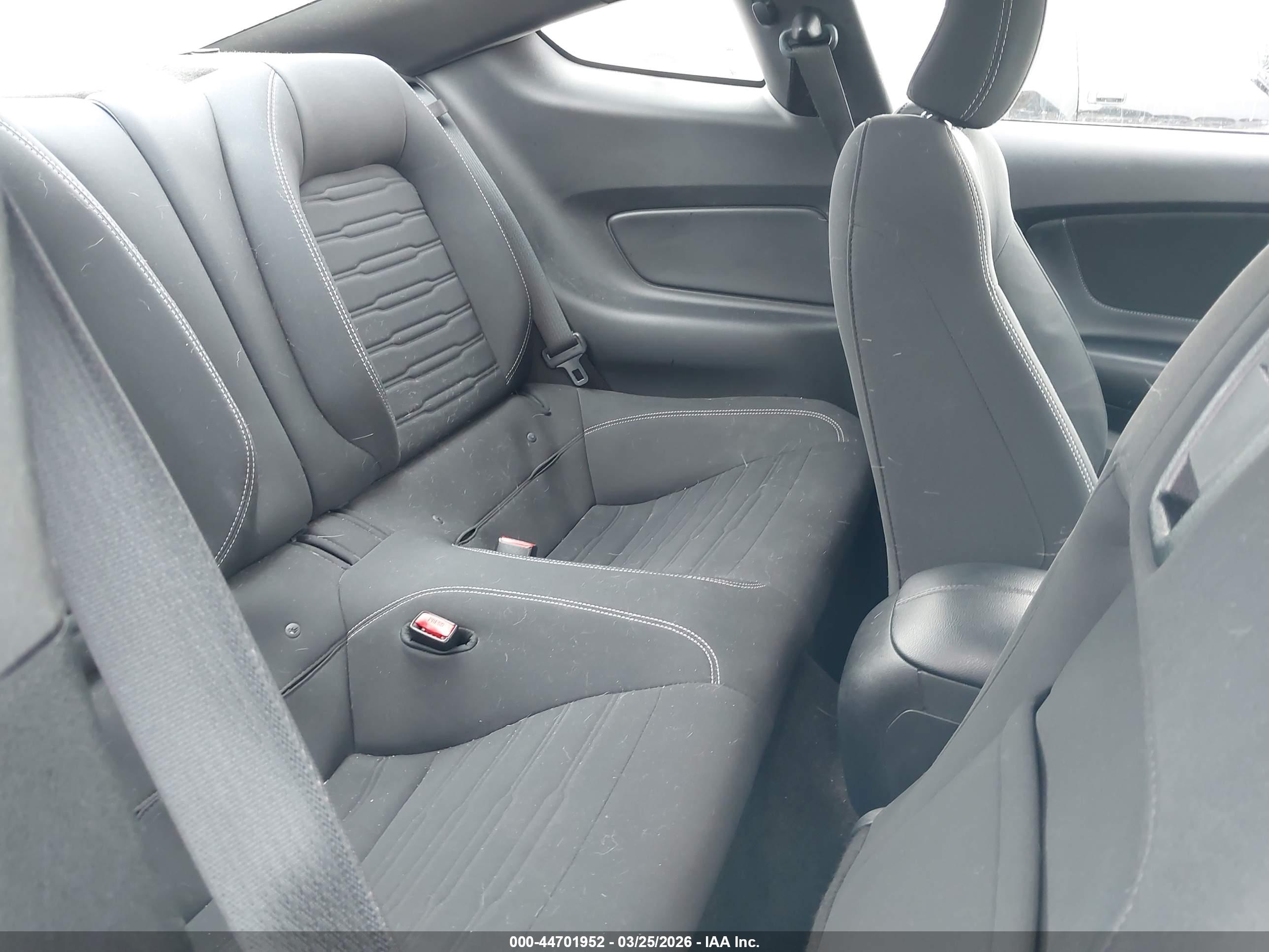 FORD MUSTANG image 8
