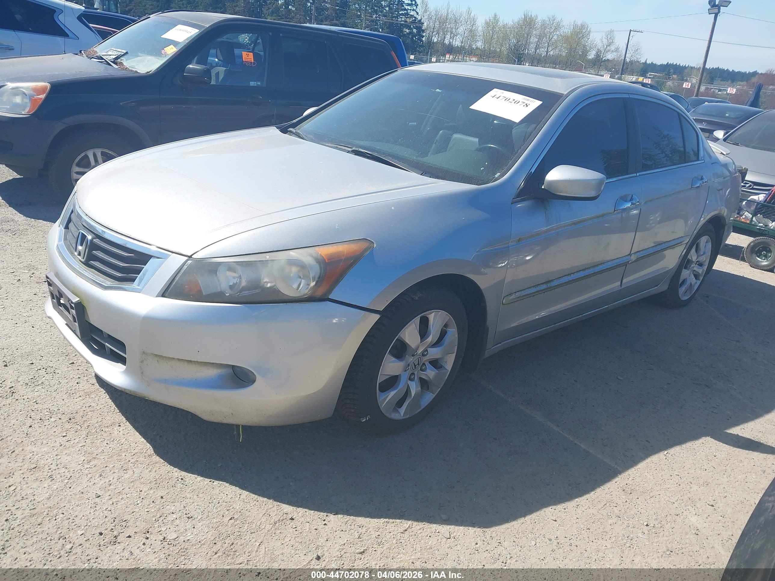 HONDA ACCORD image 2