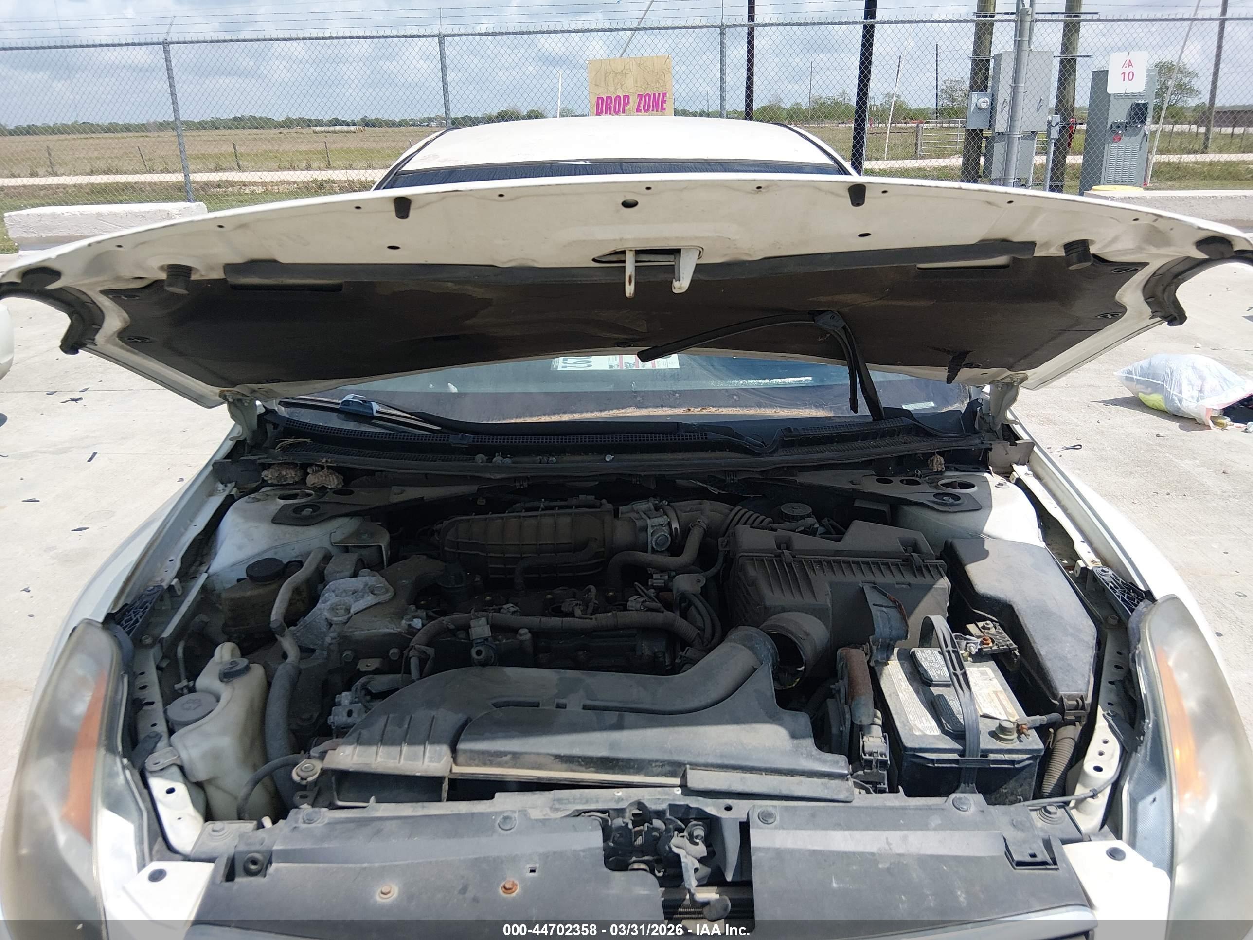 NISSAN ALTIMA image 10