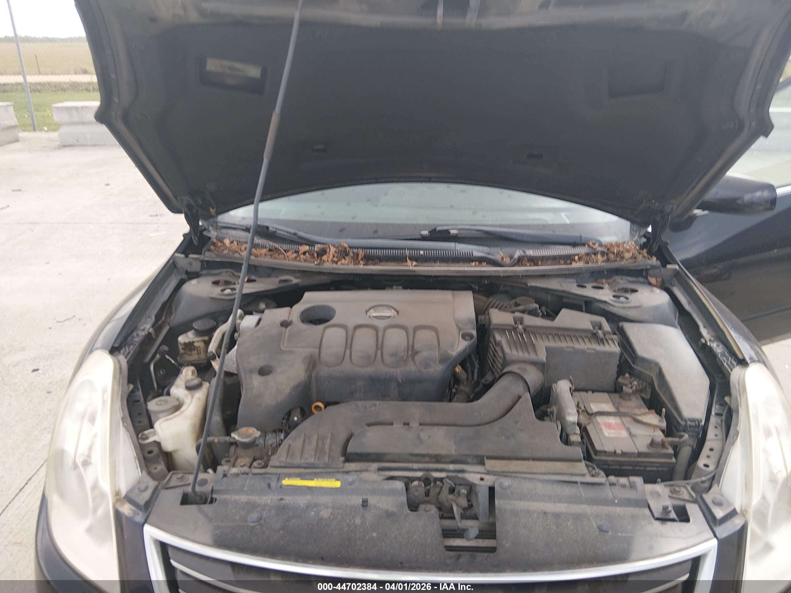 NISSAN ALTIMA image 10