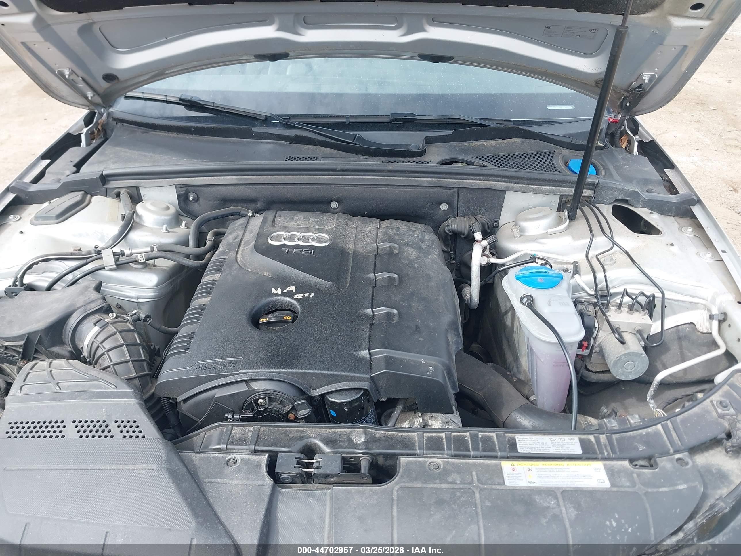 AUDI ALLROAD image 10