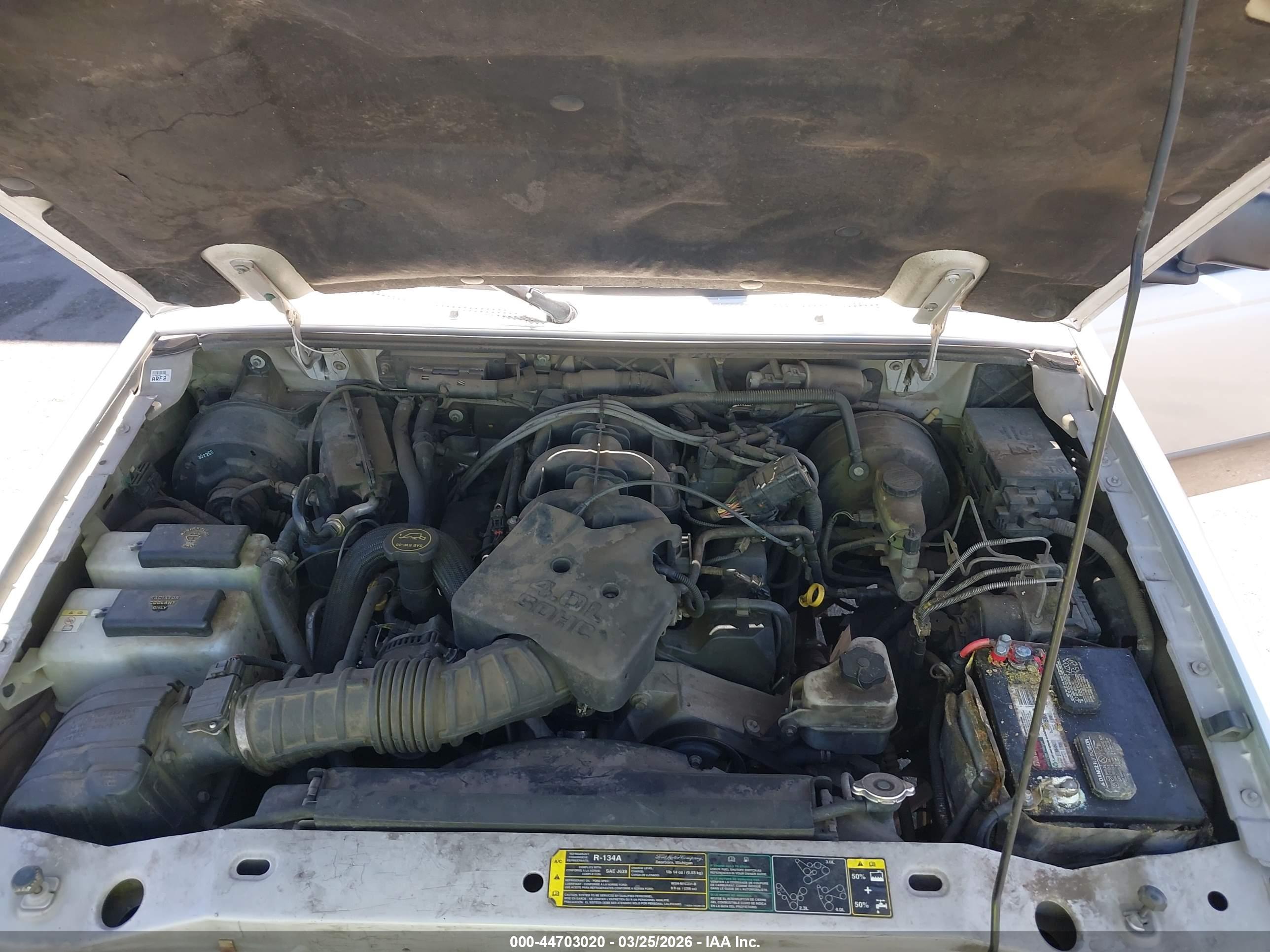 FORD RANGER image 10