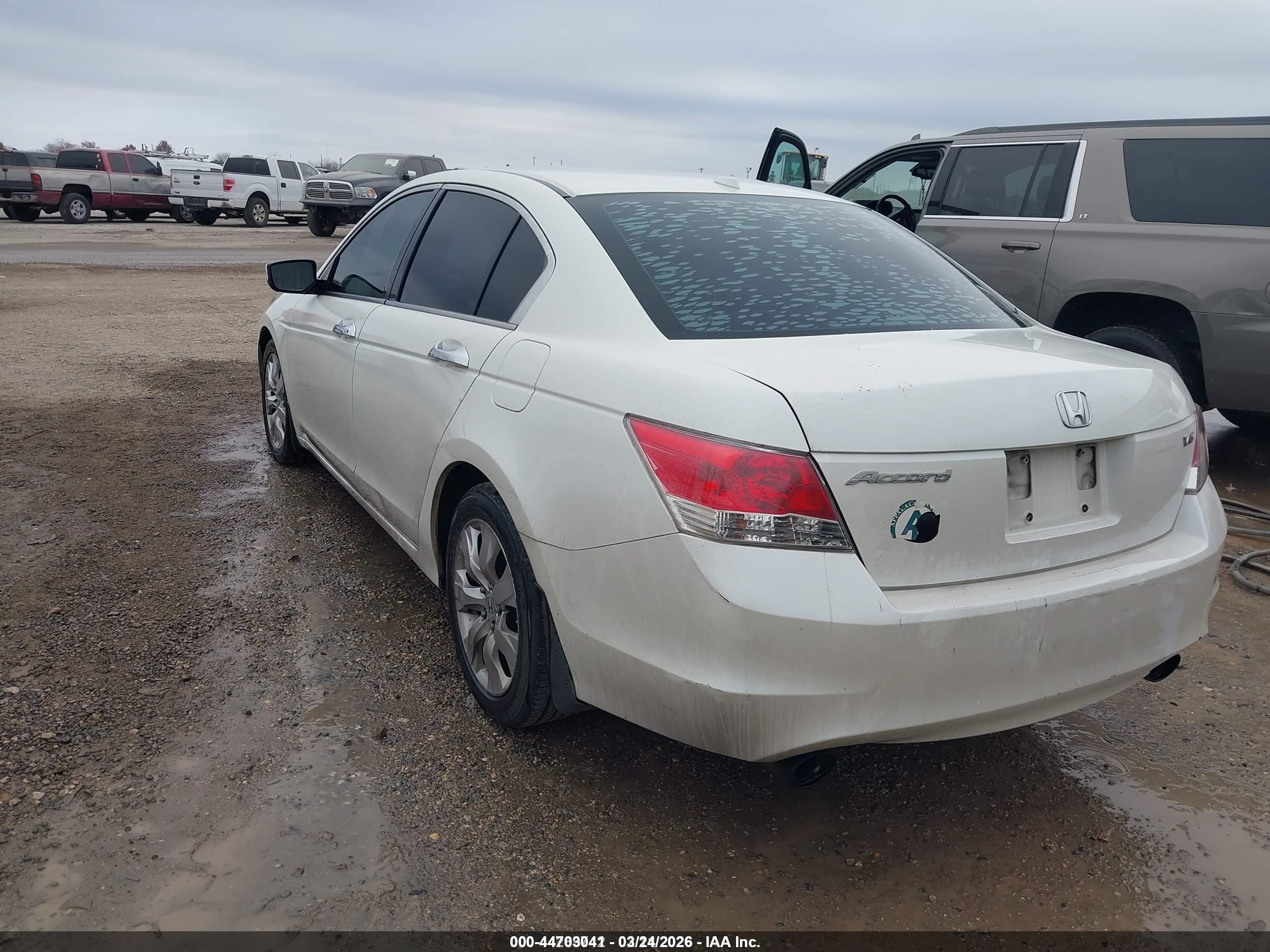 HONDA ACCORD image 3