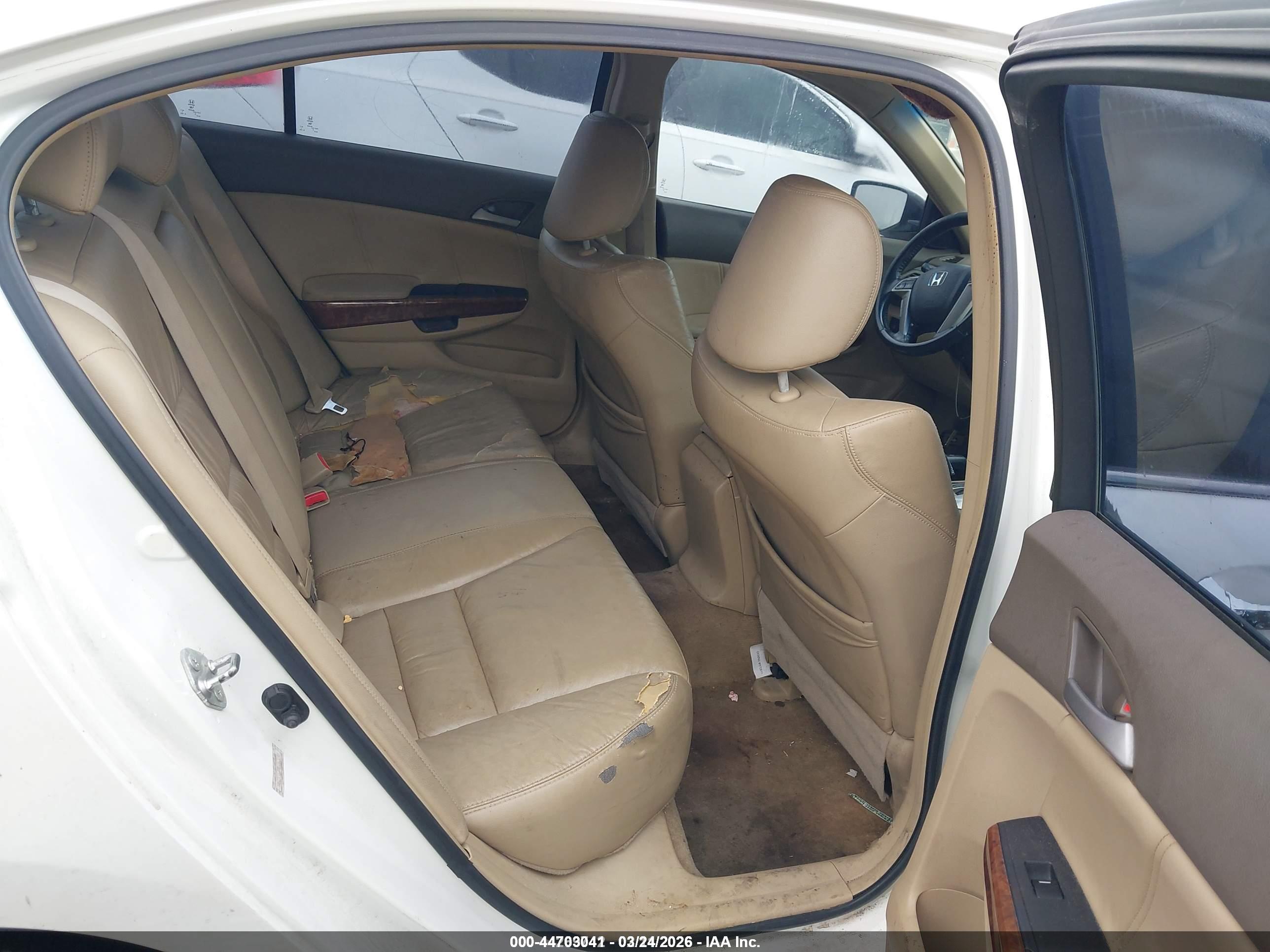HONDA ACCORD image 8