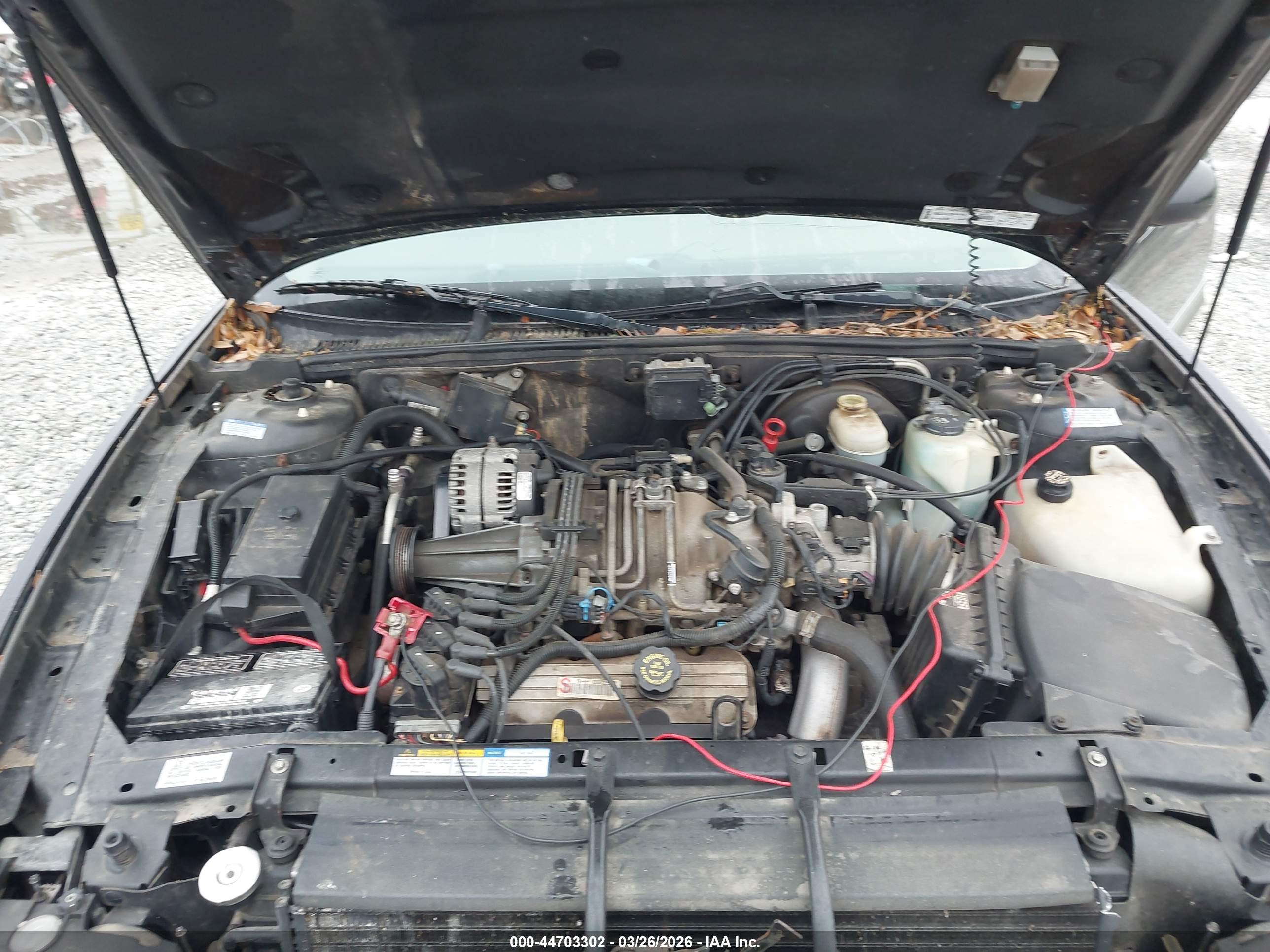 BUICK PARK image 10