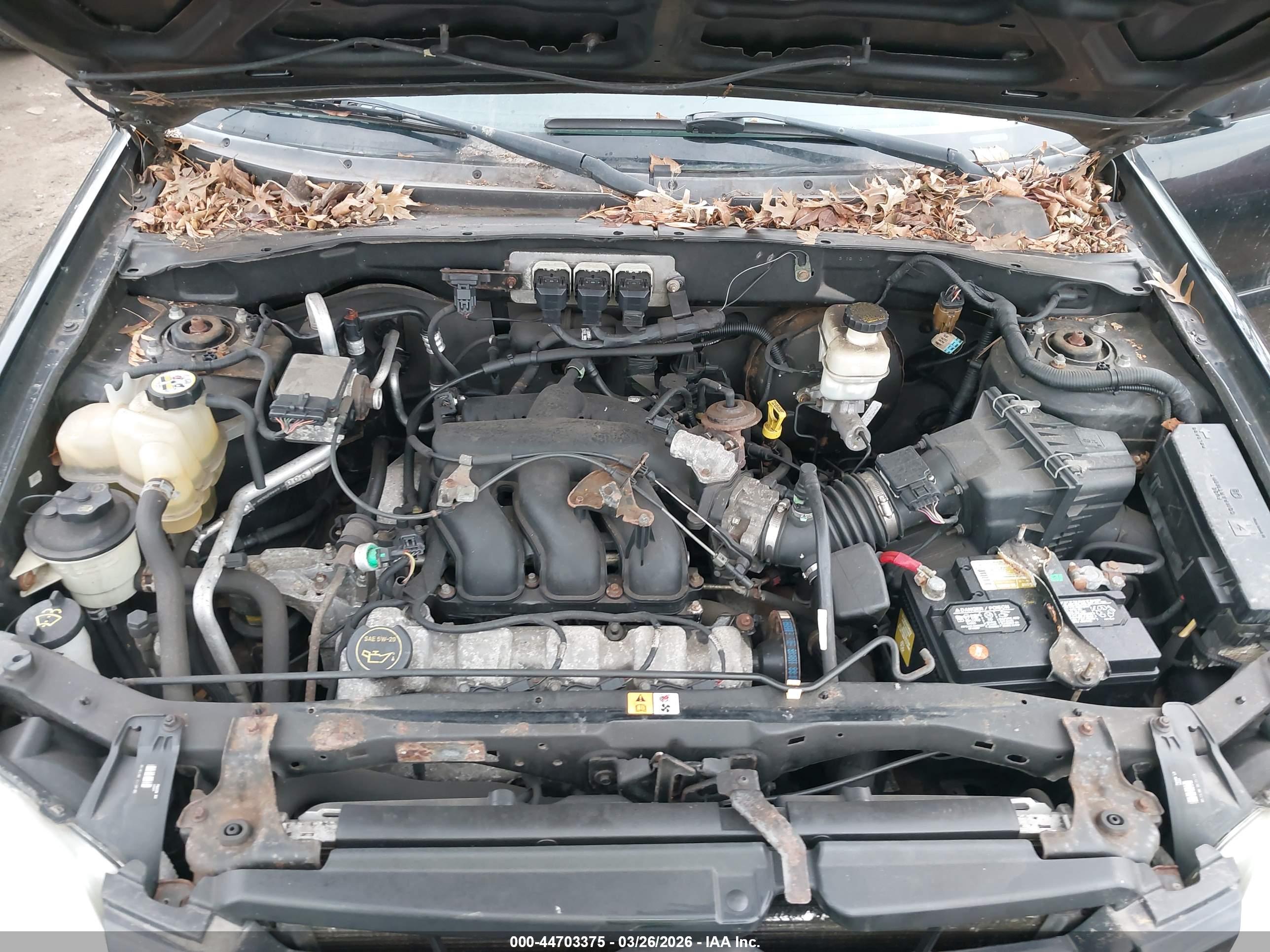 MAZDA TRIBUTE image 10