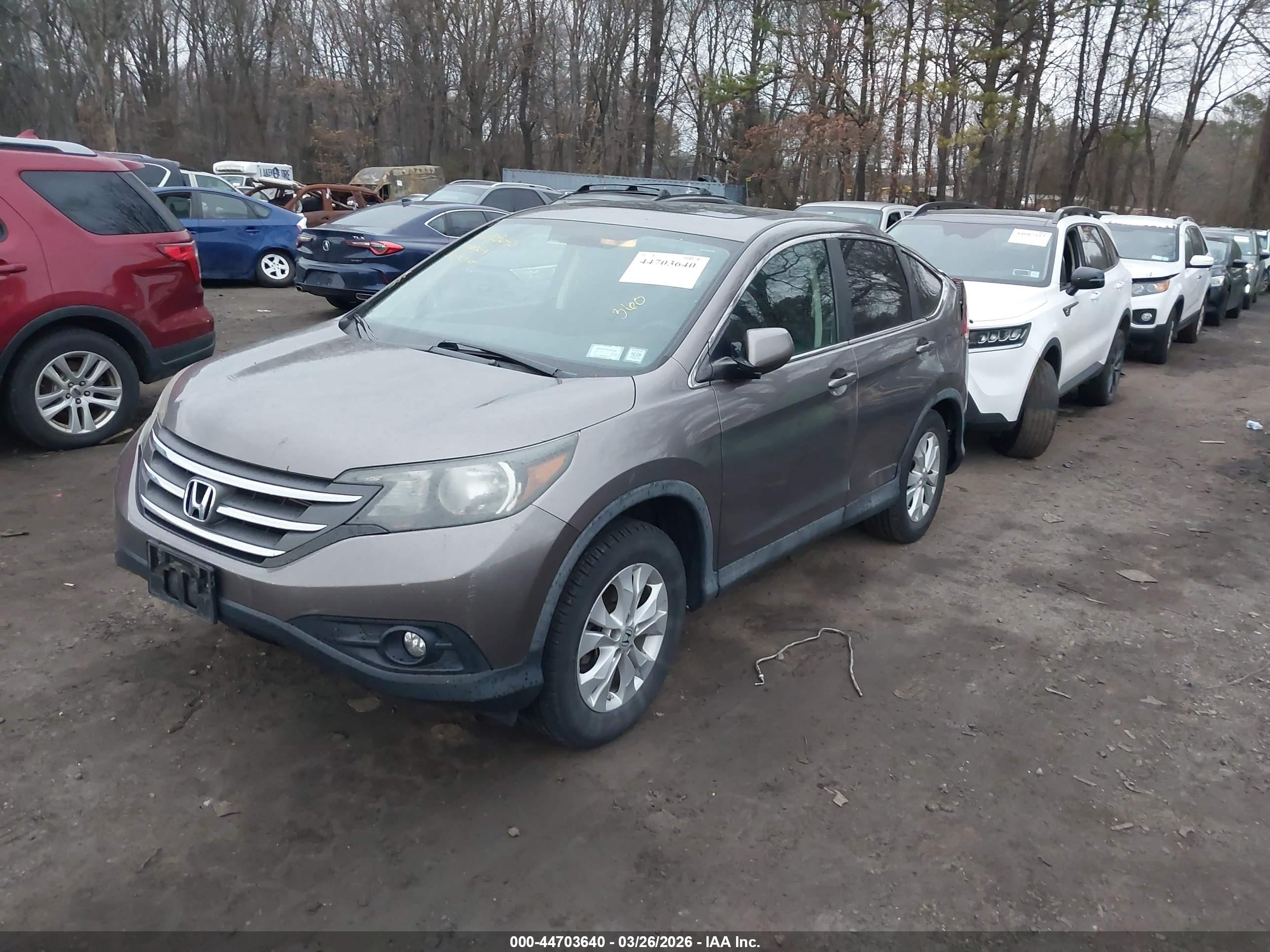 HONDA CR-V image 2