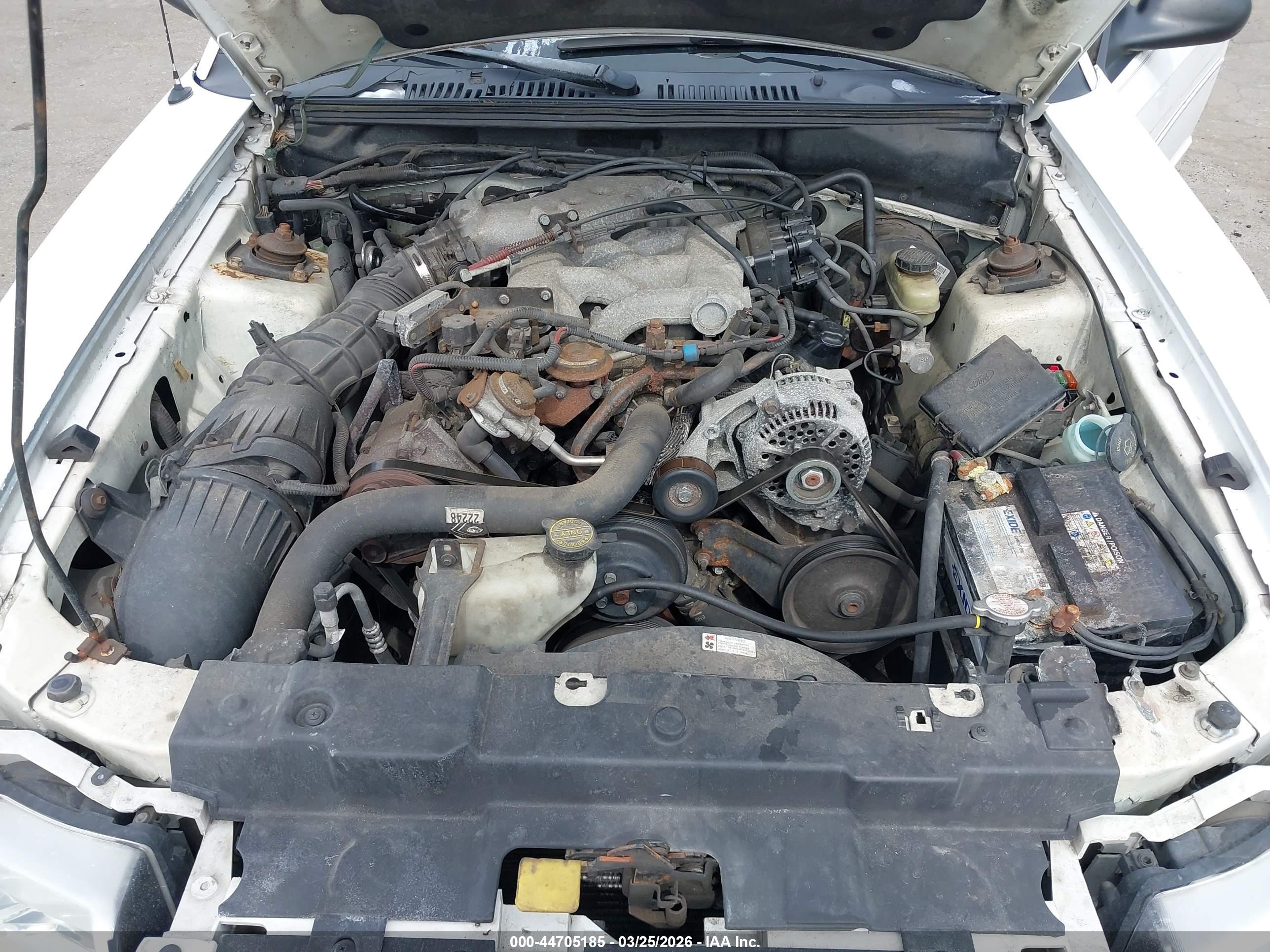 FORD MUSTANG image 10