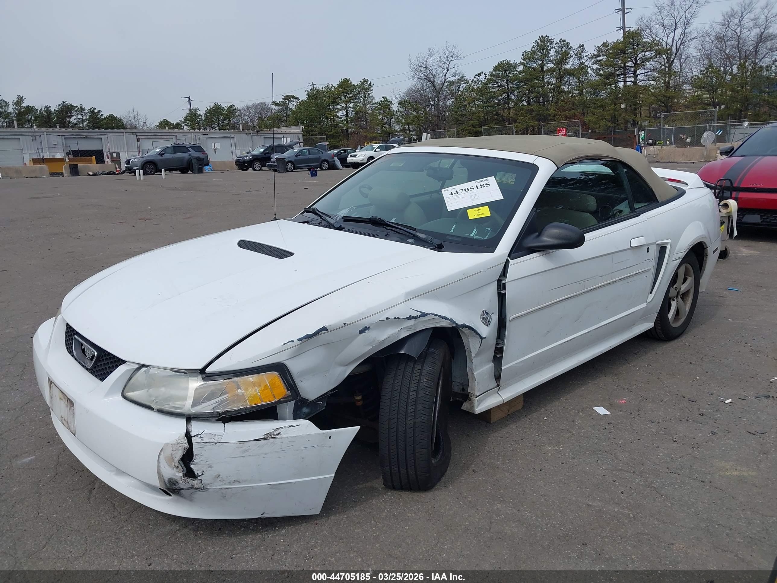 FORD MUSTANG image 2