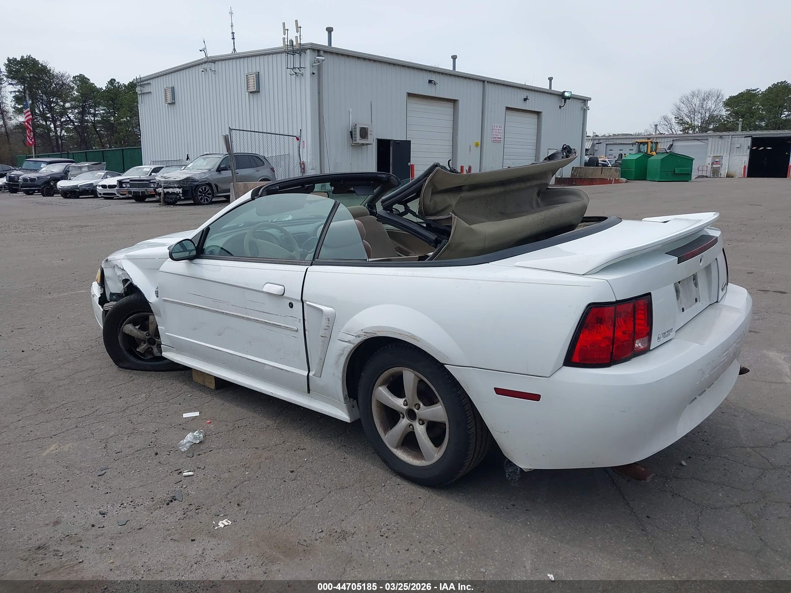 FORD MUSTANG image 3