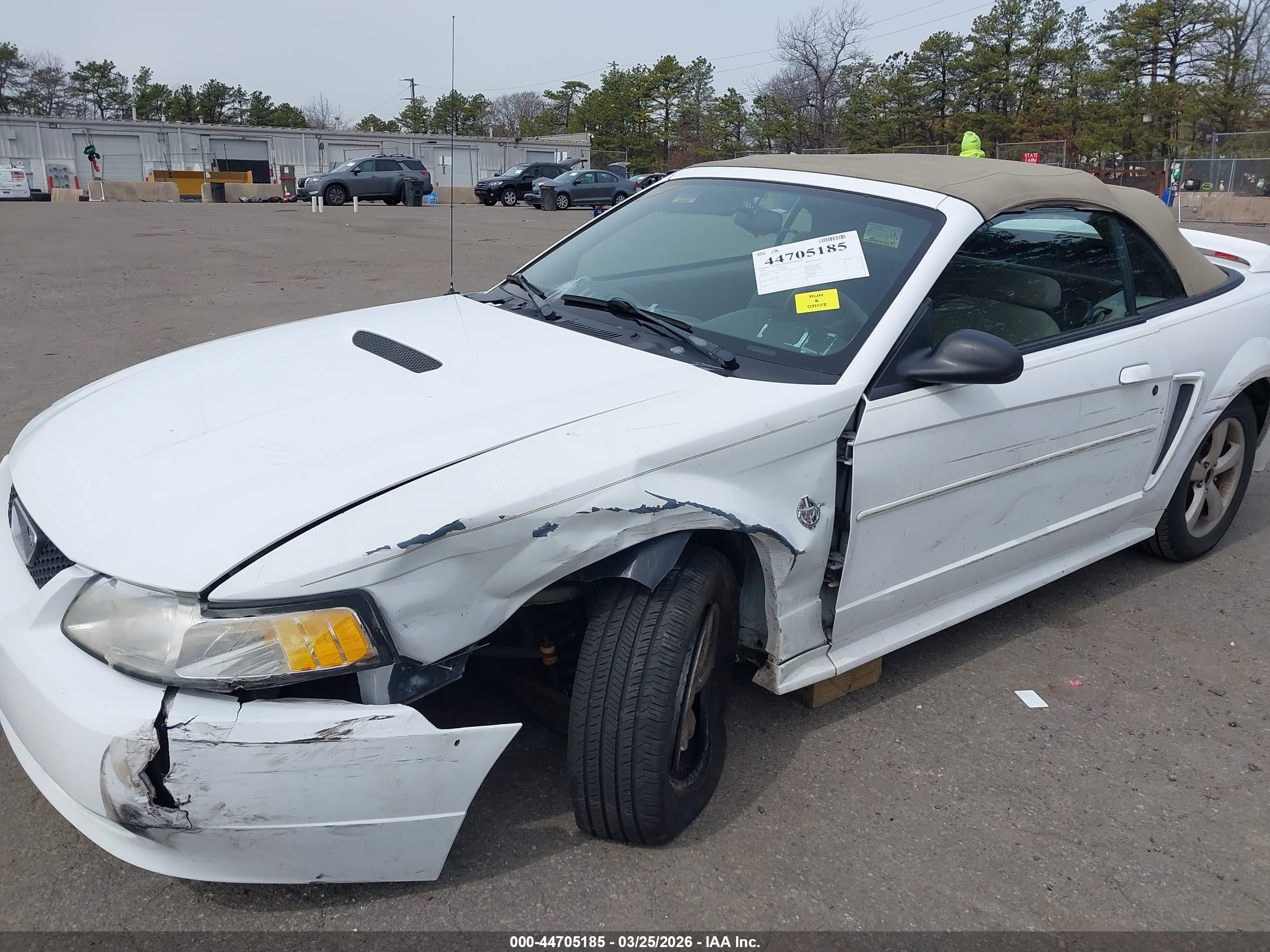 FORD MUSTANG image 6
