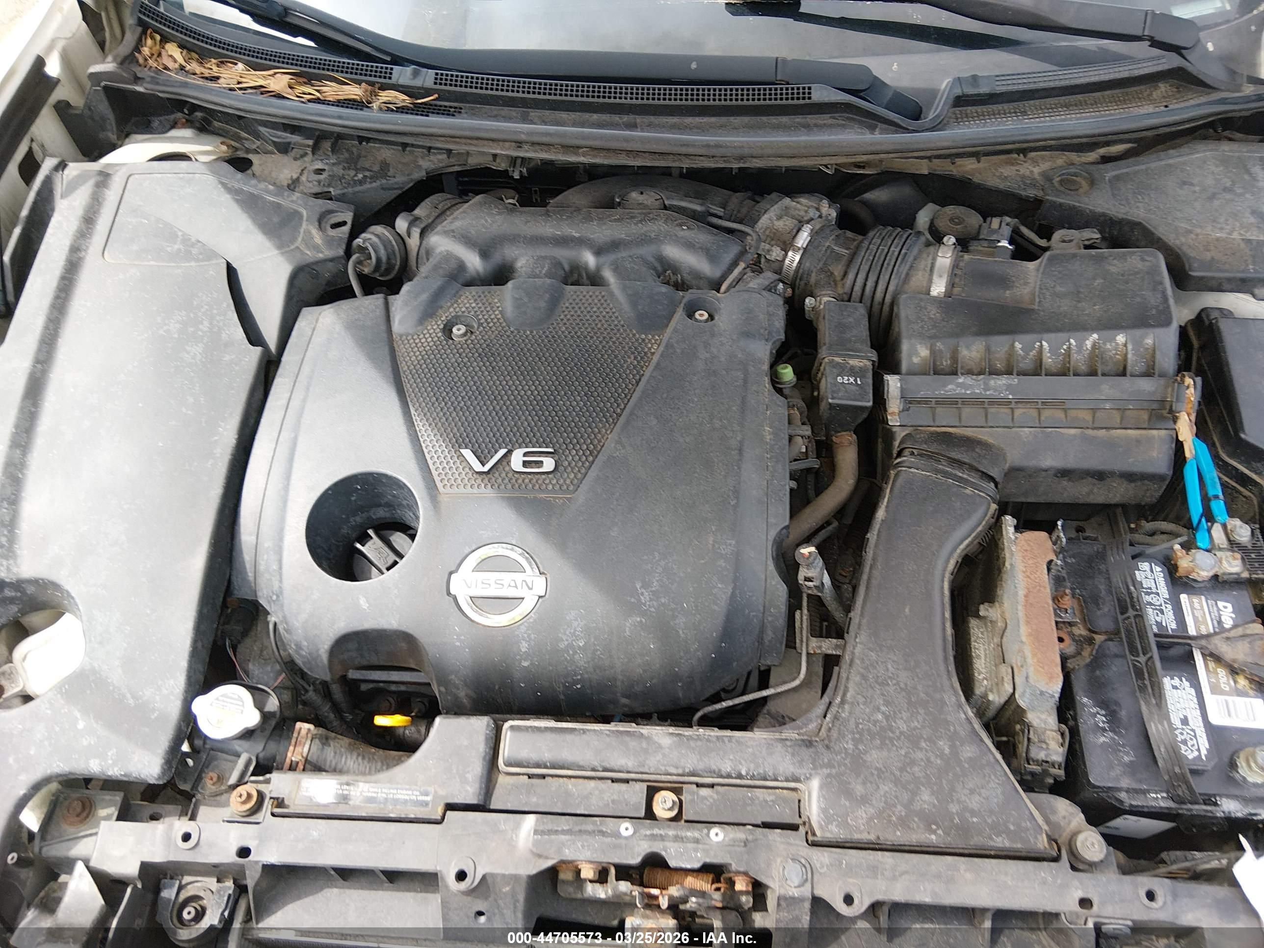 NISSAN MAXIMA image 10