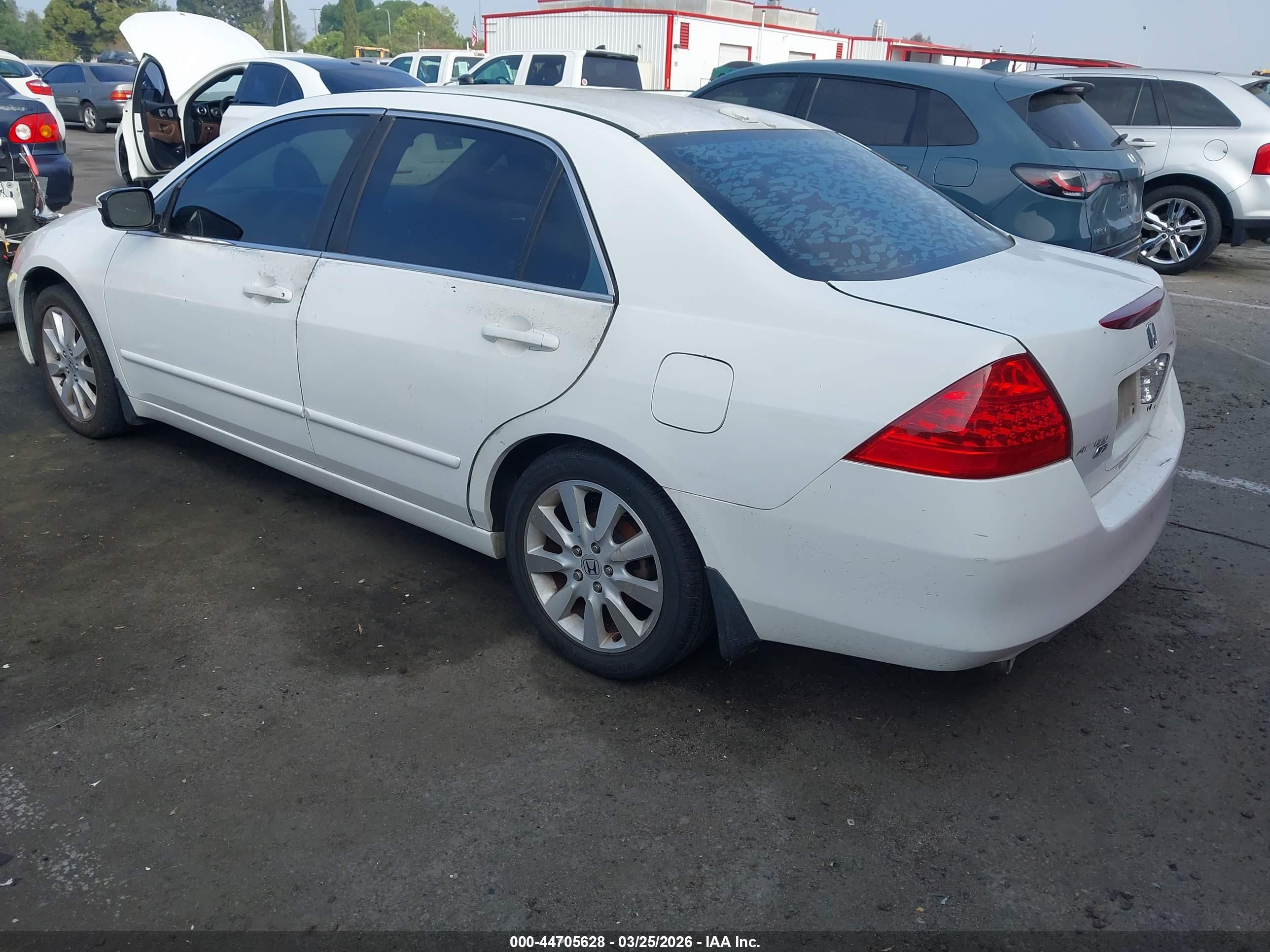 HONDA ACCORD image 3