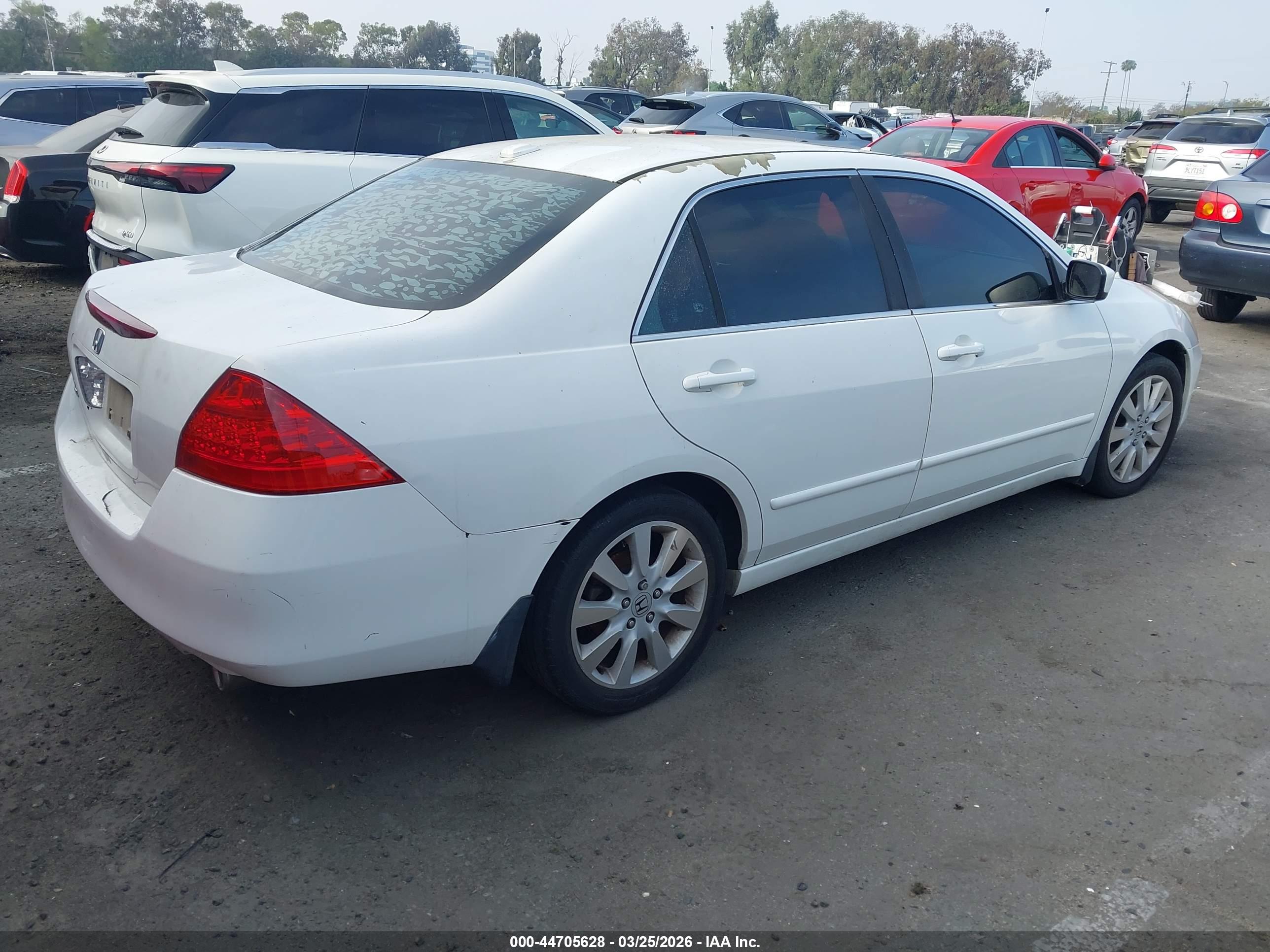 HONDA ACCORD image 4