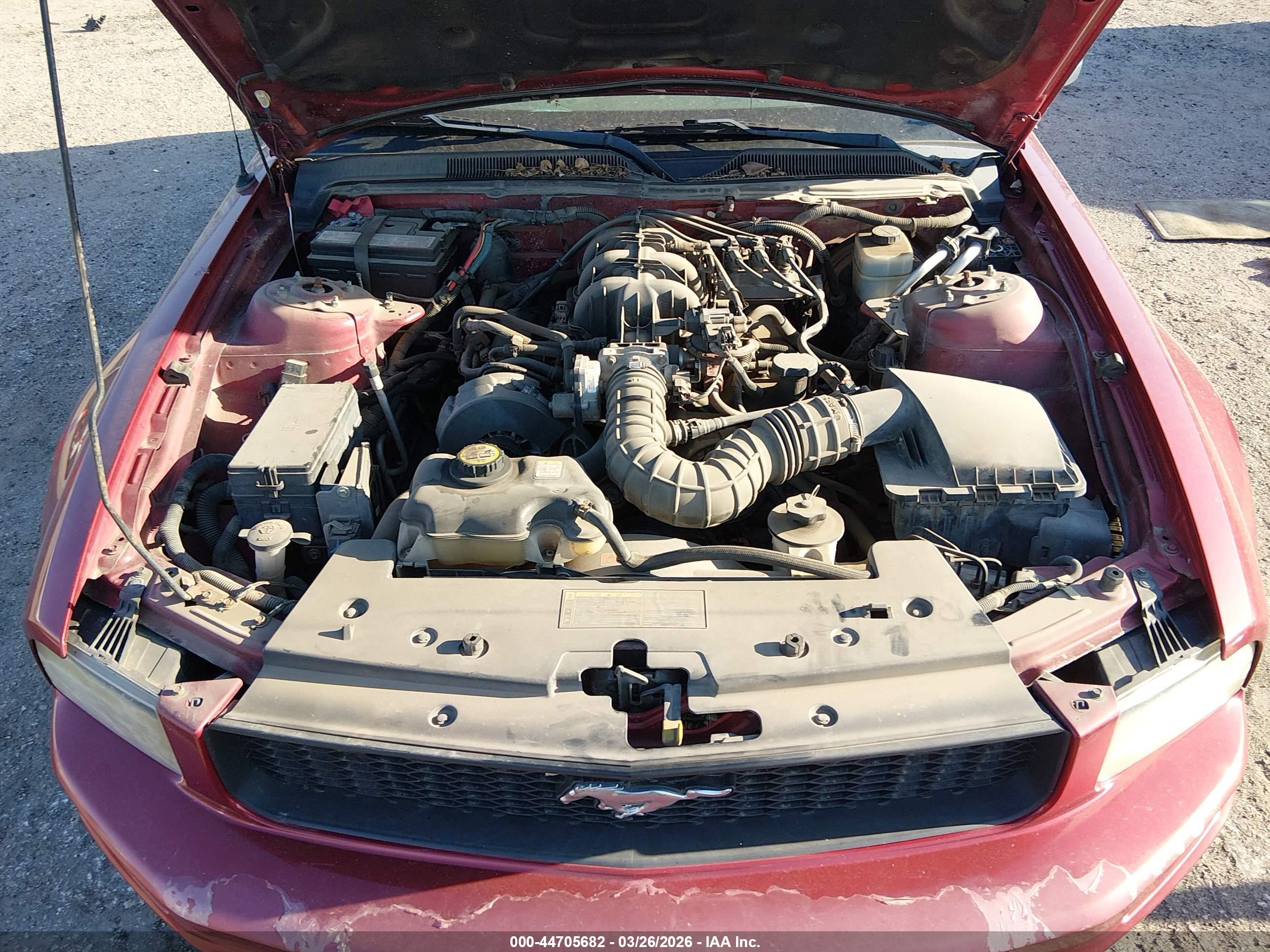 FORD MUSTANG image 10