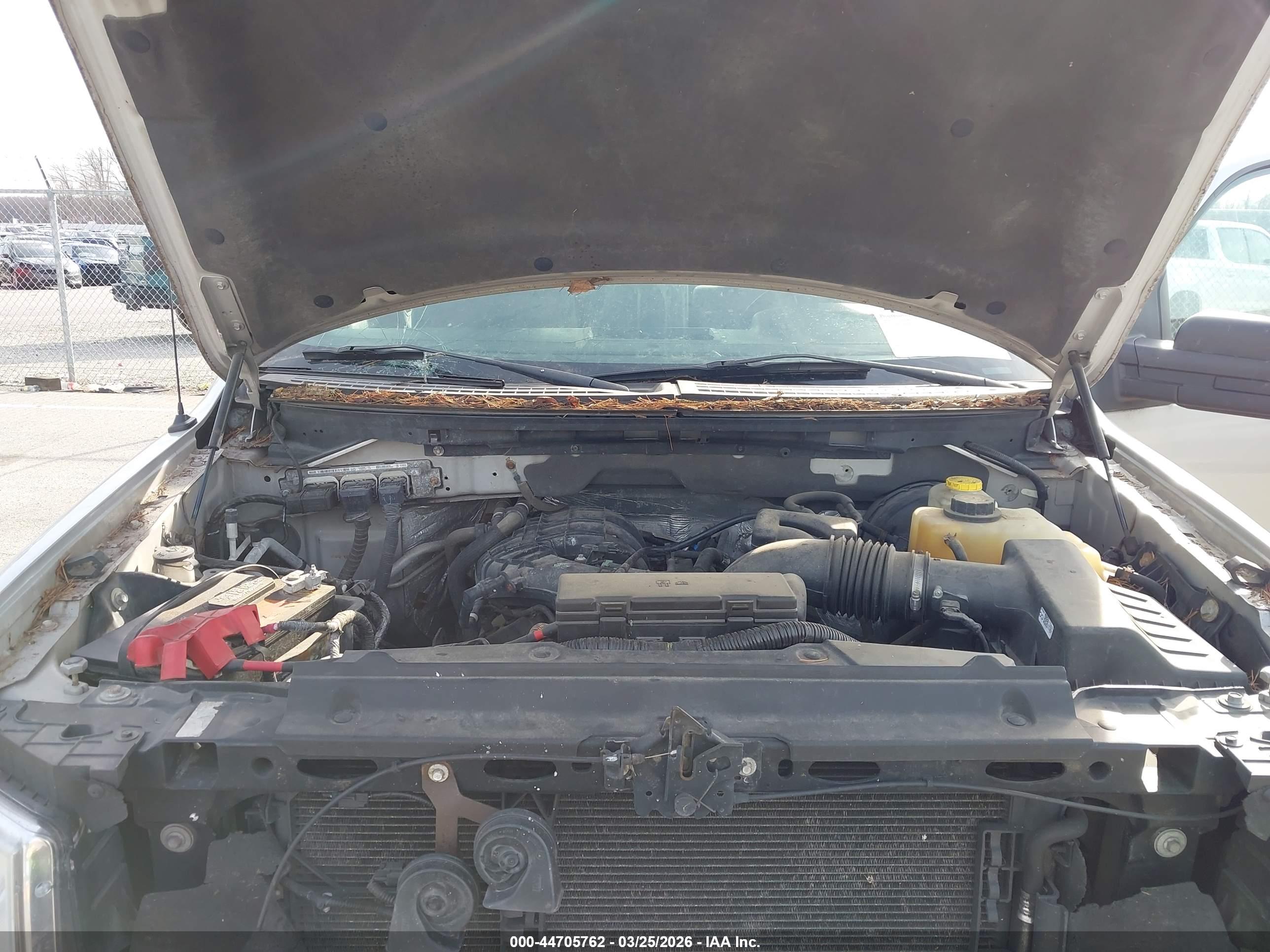 FORD F-150 image 10