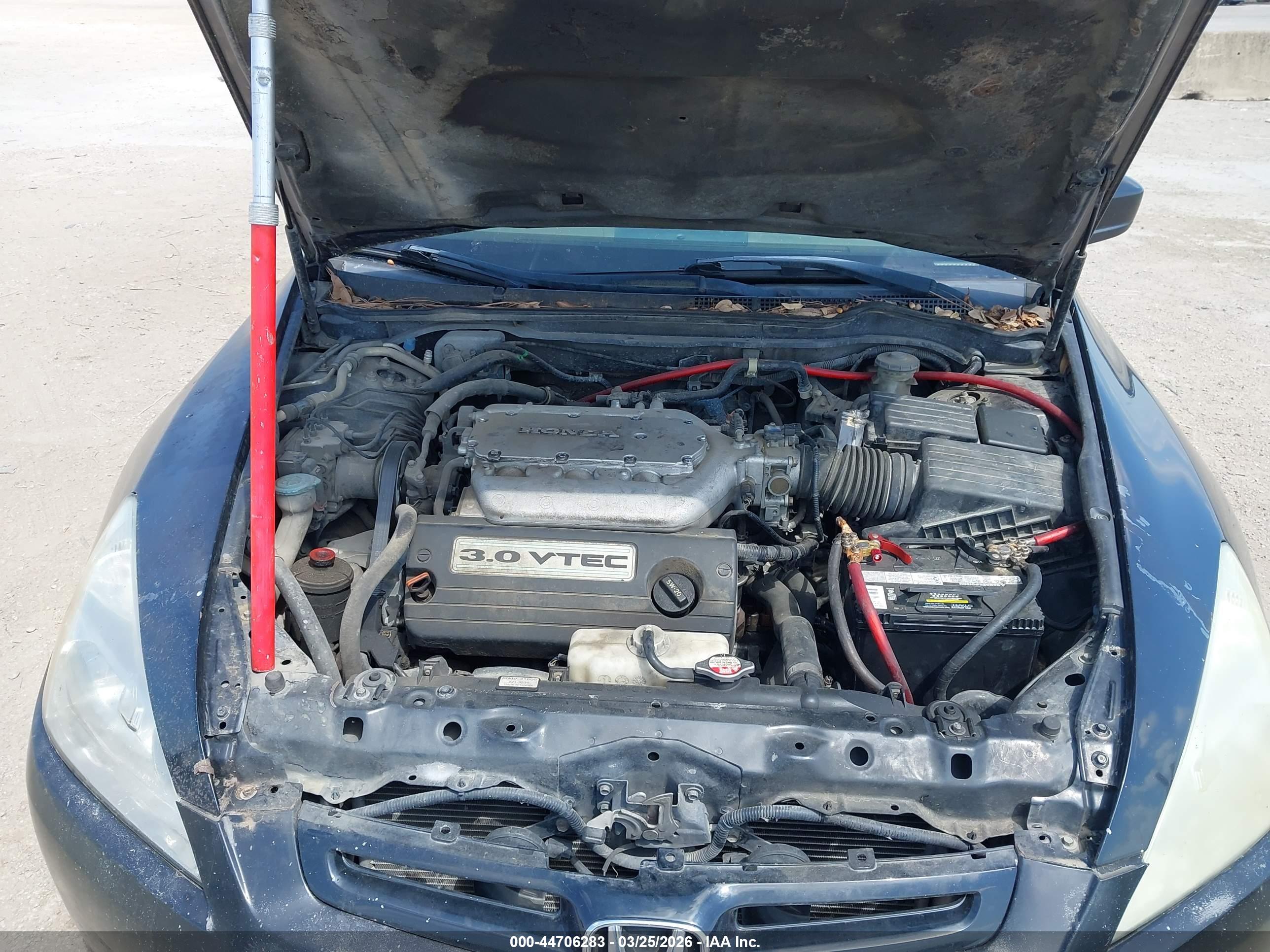 HONDA ACCORD image 10
