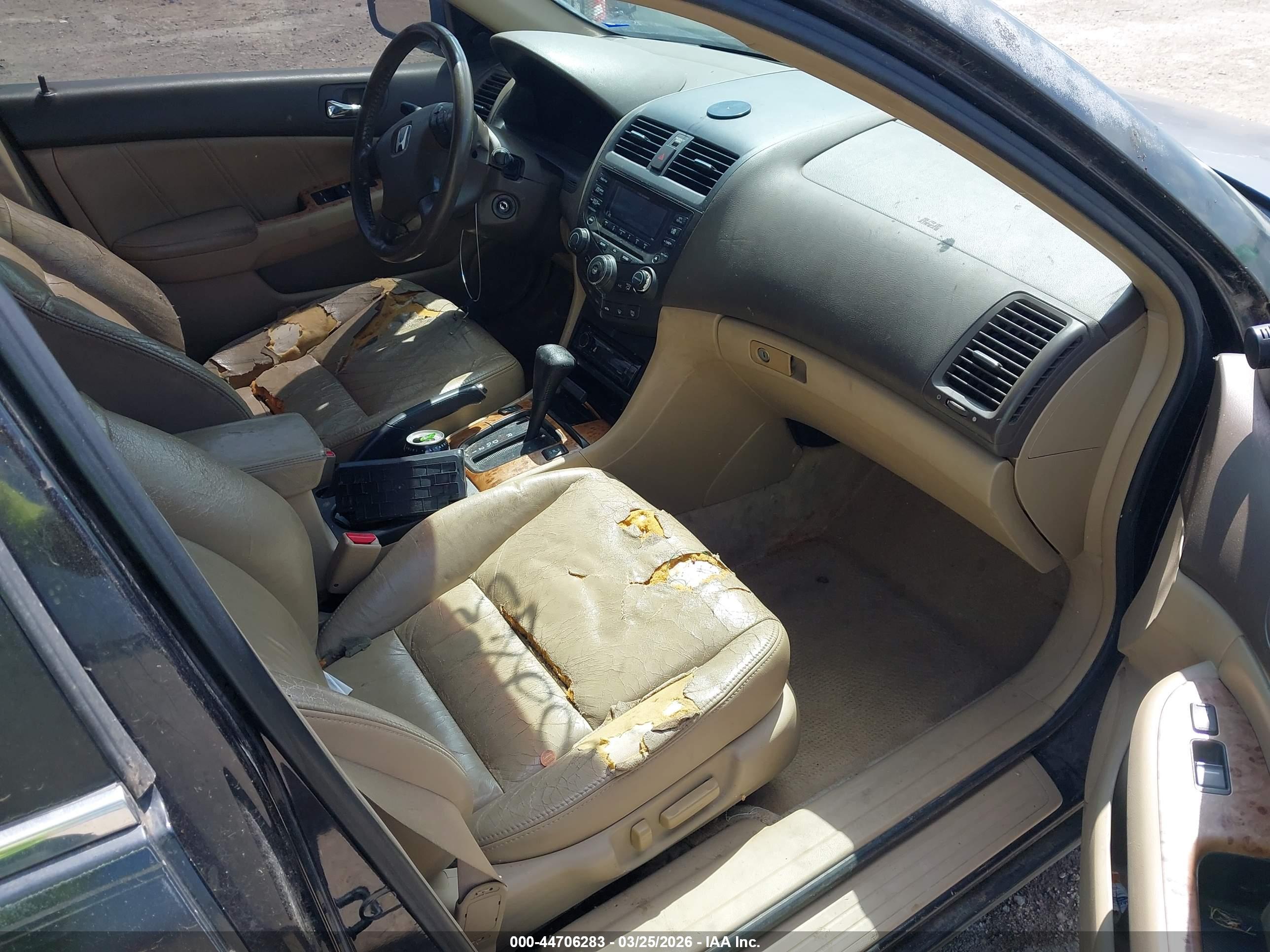 HONDA ACCORD image 5