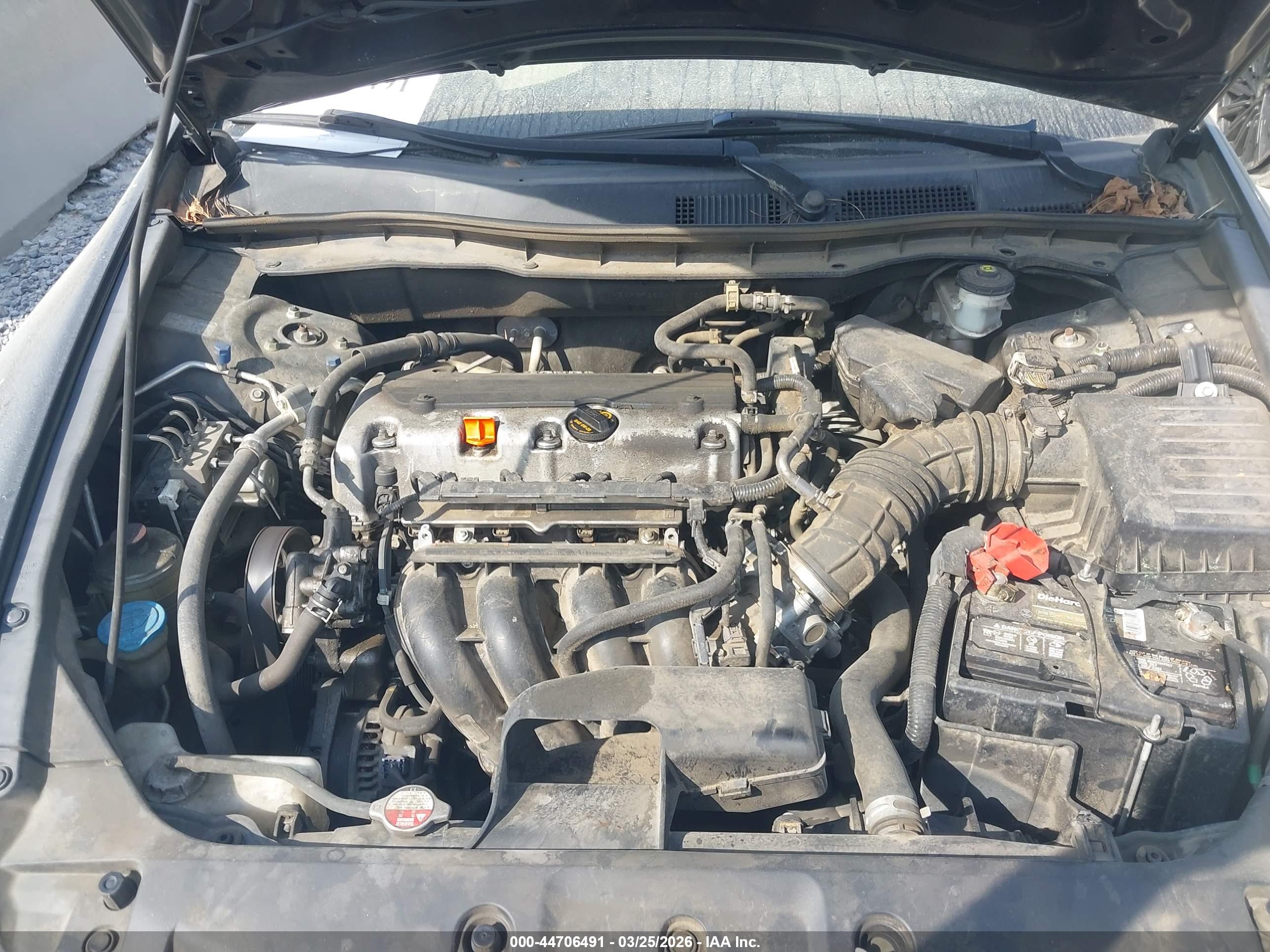 HONDA ACCORD image 10