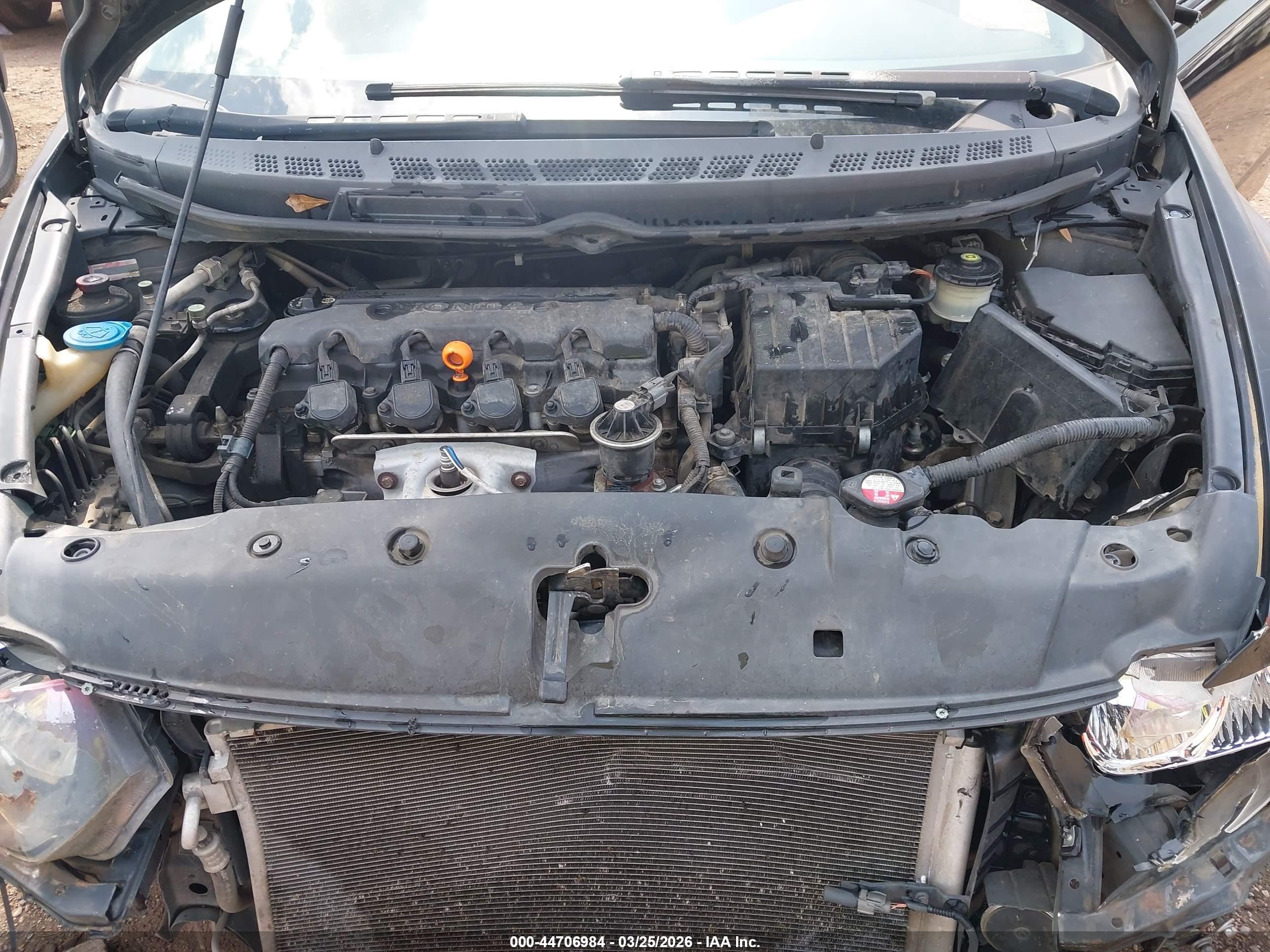 HONDA CIVIC image 10