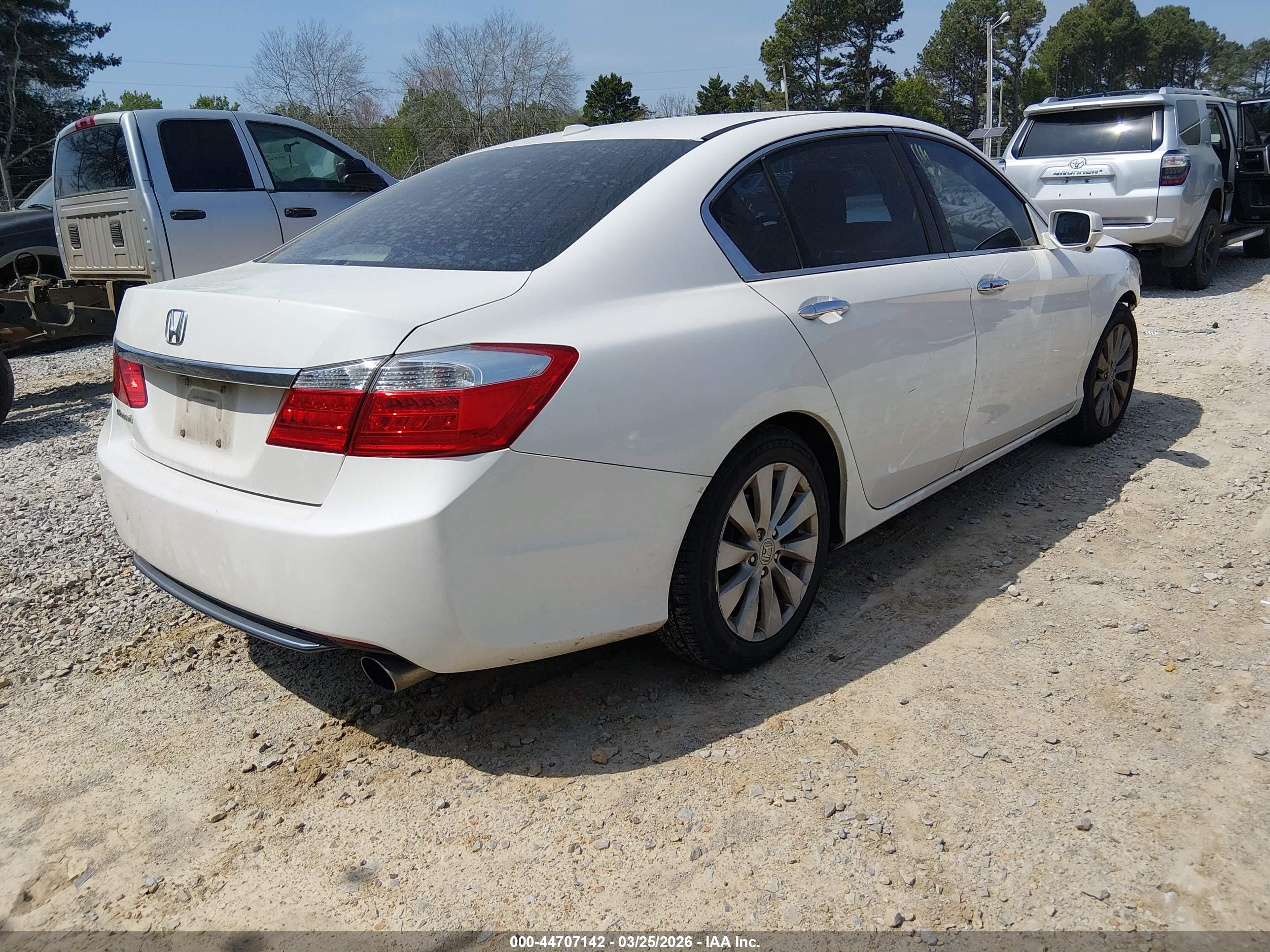 HONDA ACCORD image 4