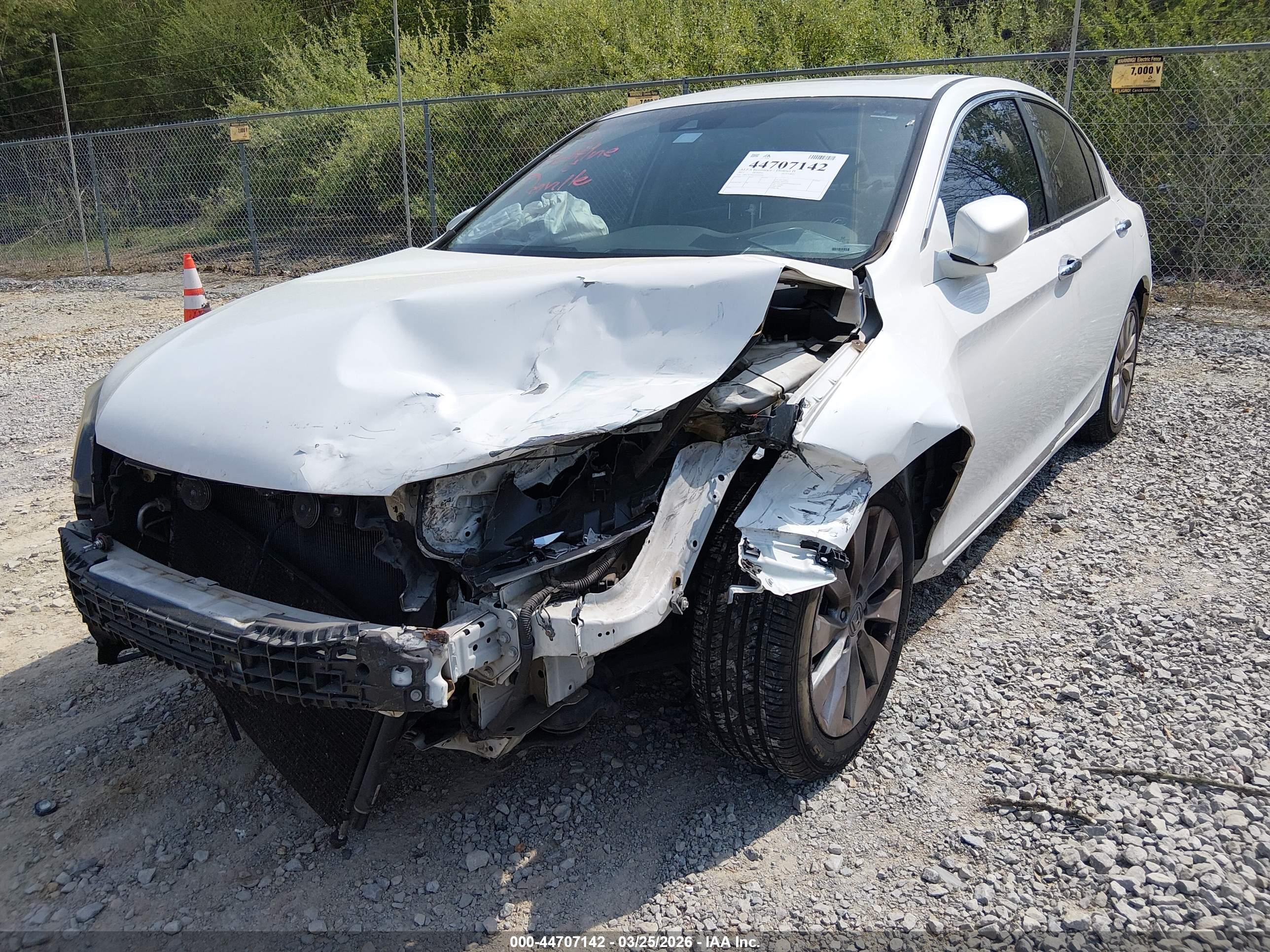 HONDA ACCORD image 6