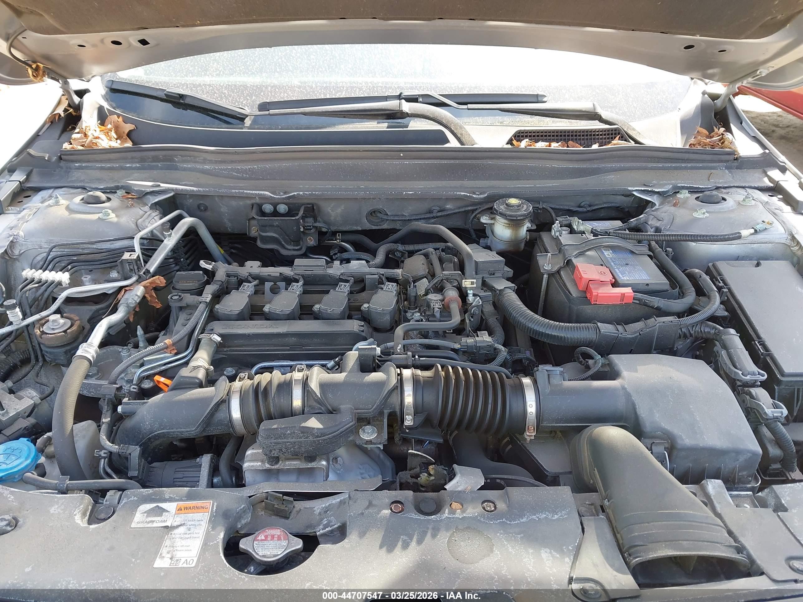 HONDA ACCORD image 10