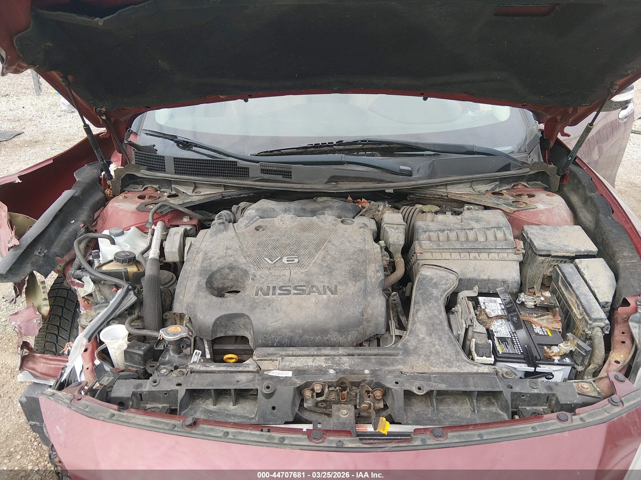 NISSAN MAXIMA image 10