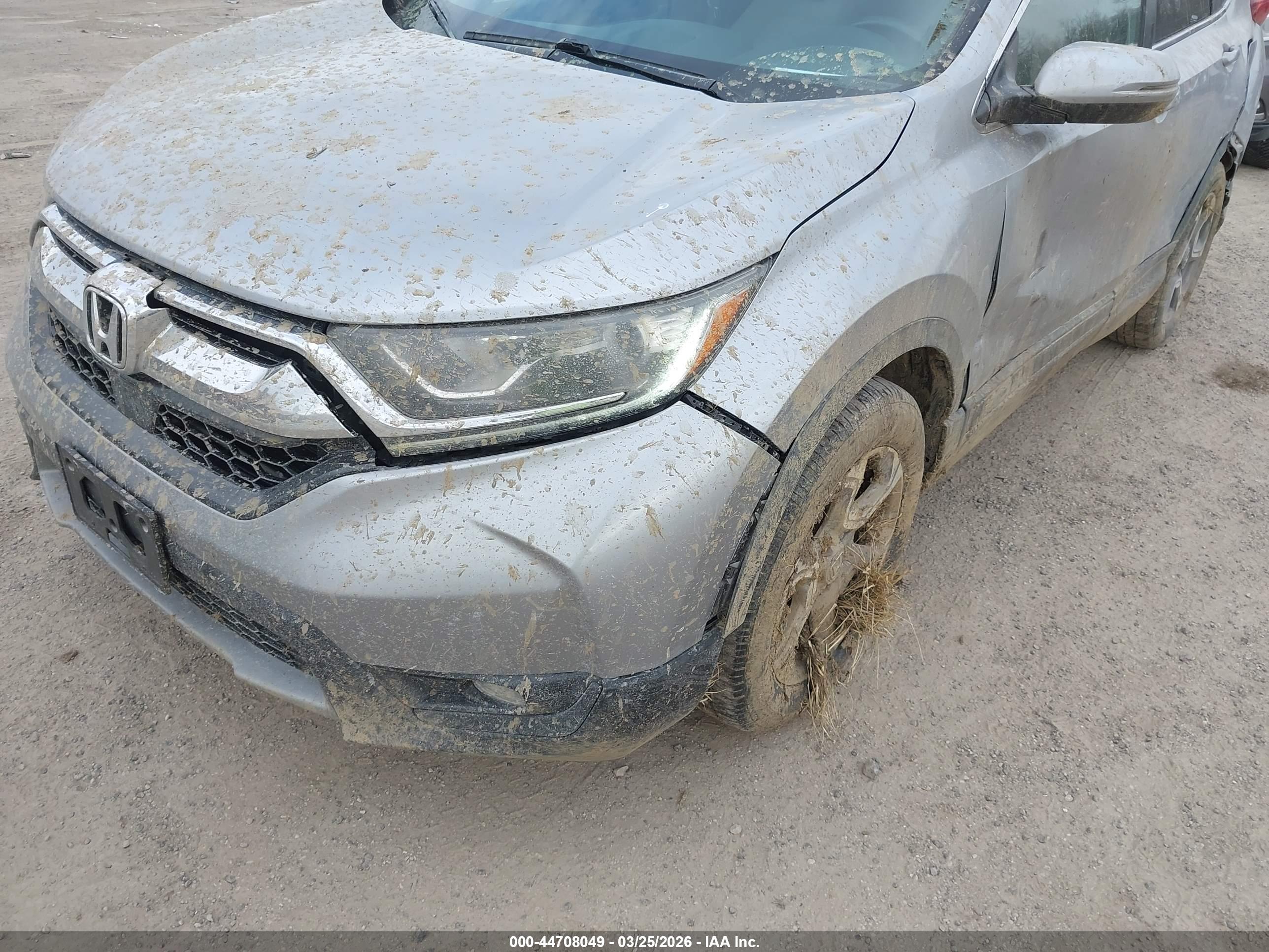 HONDA CR-V image 6