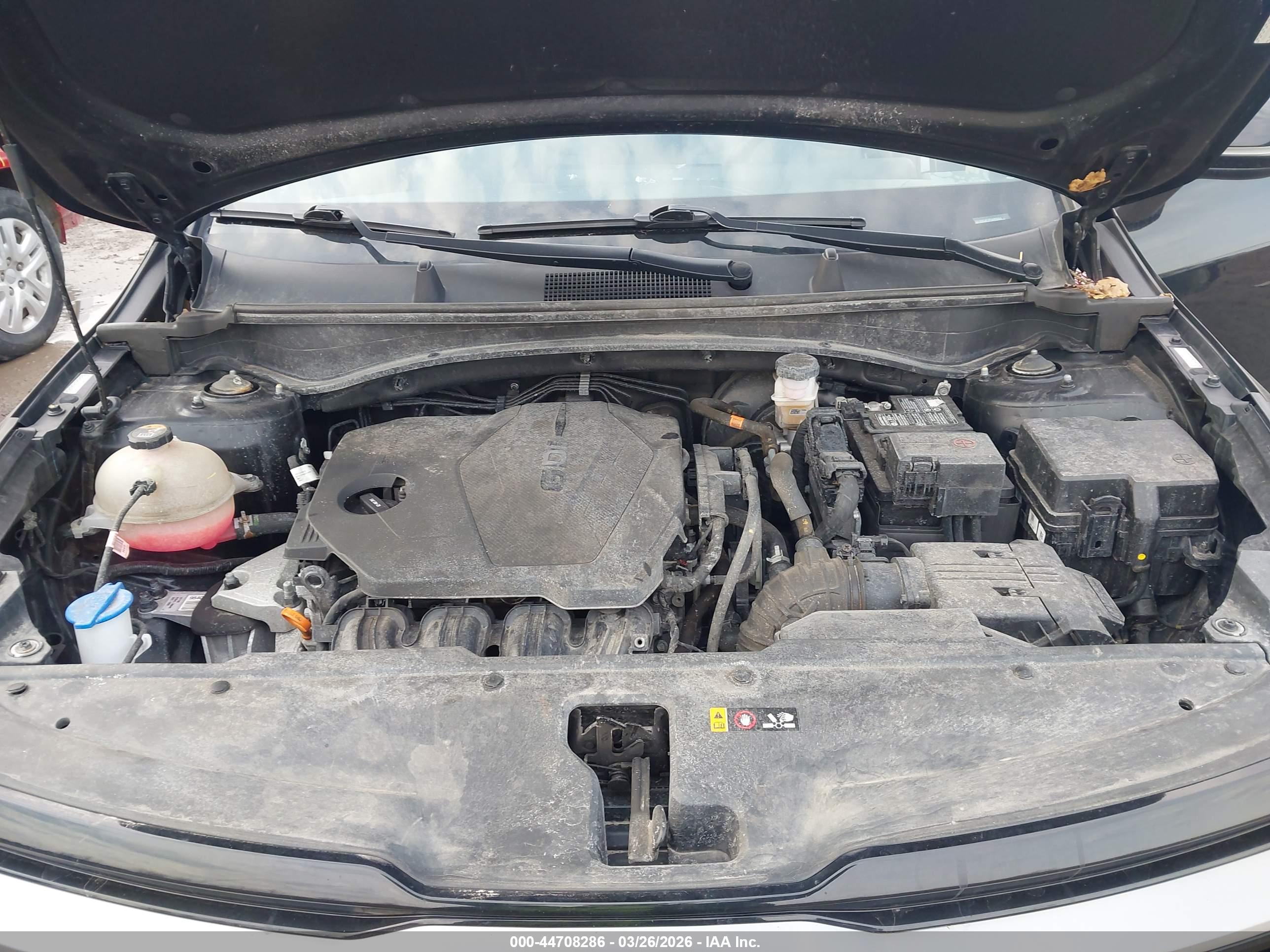 KIA SPORTAGE image 10