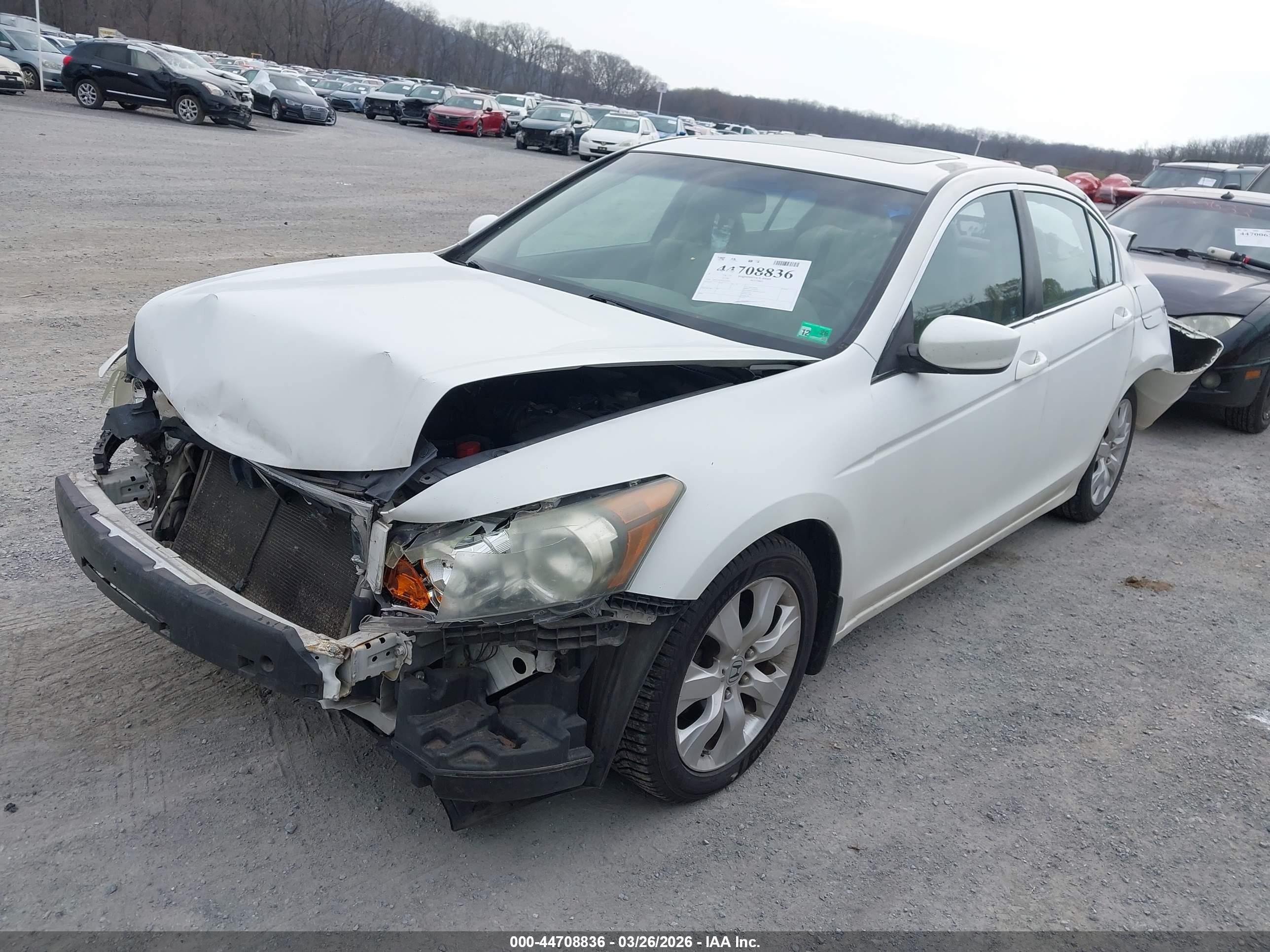 HONDA ACCORD image 2
