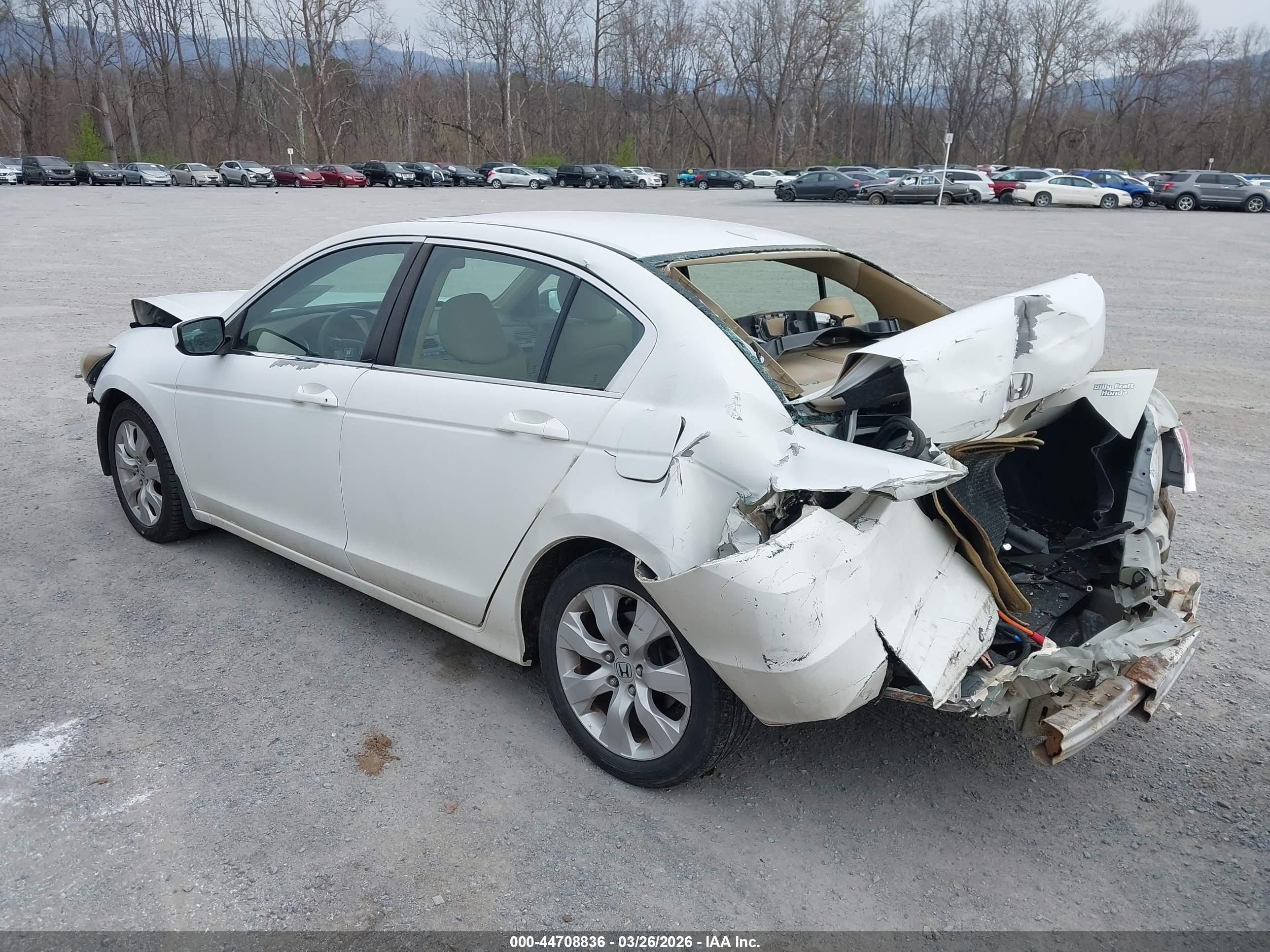 HONDA ACCORD image 3