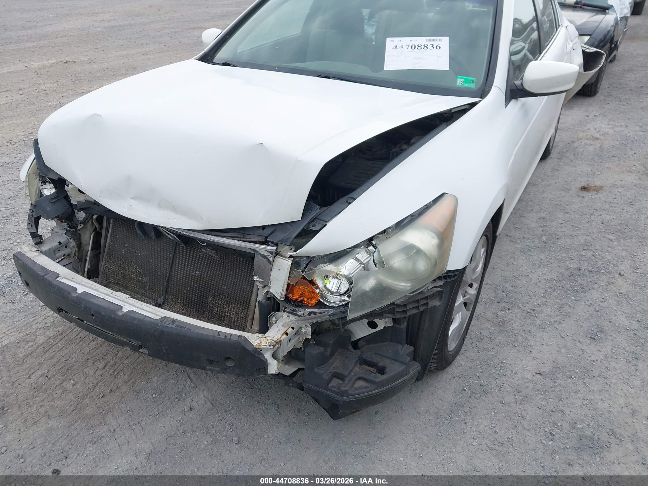 HONDA ACCORD image 6