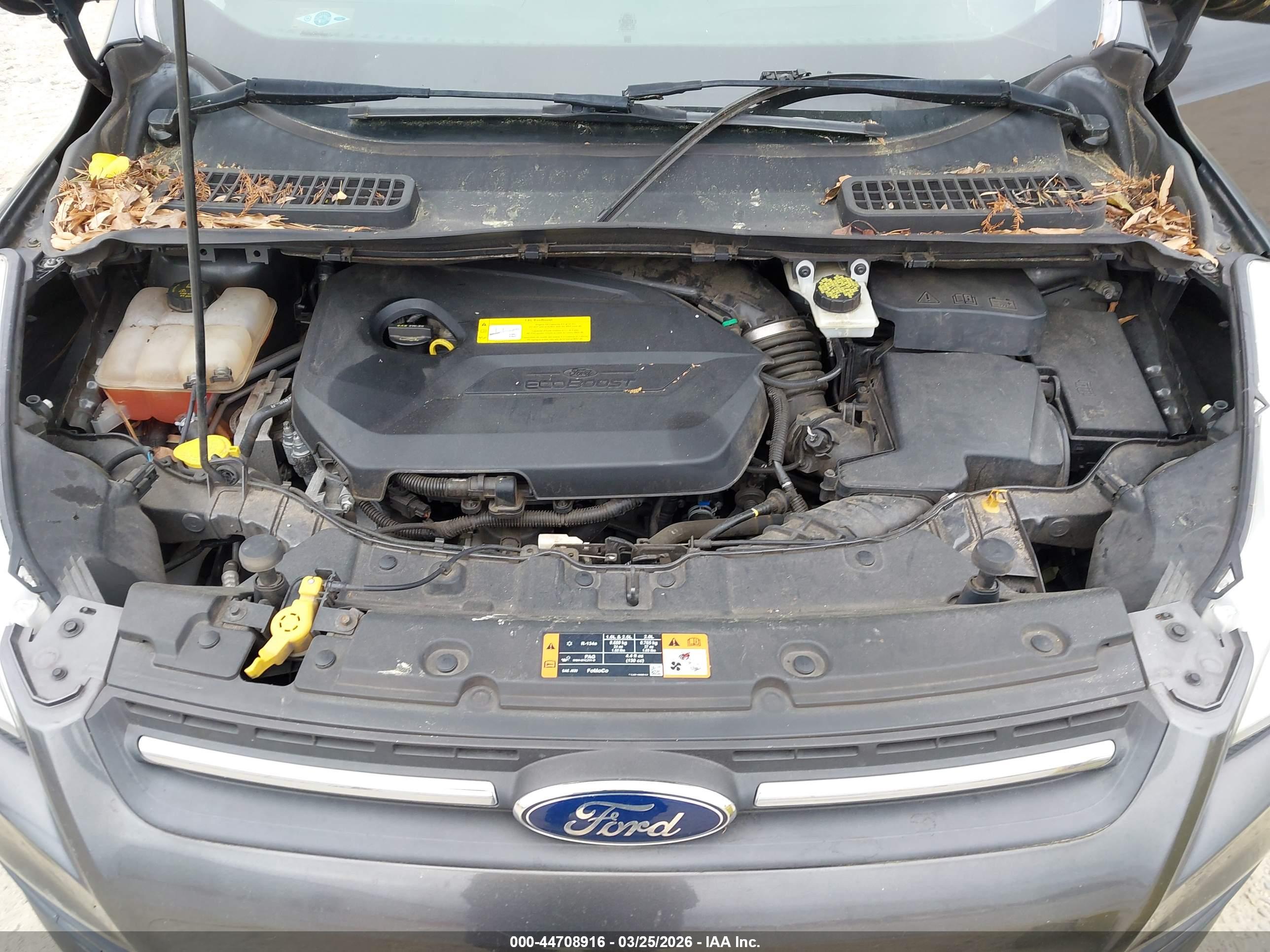 FORD ESCAPE image 10