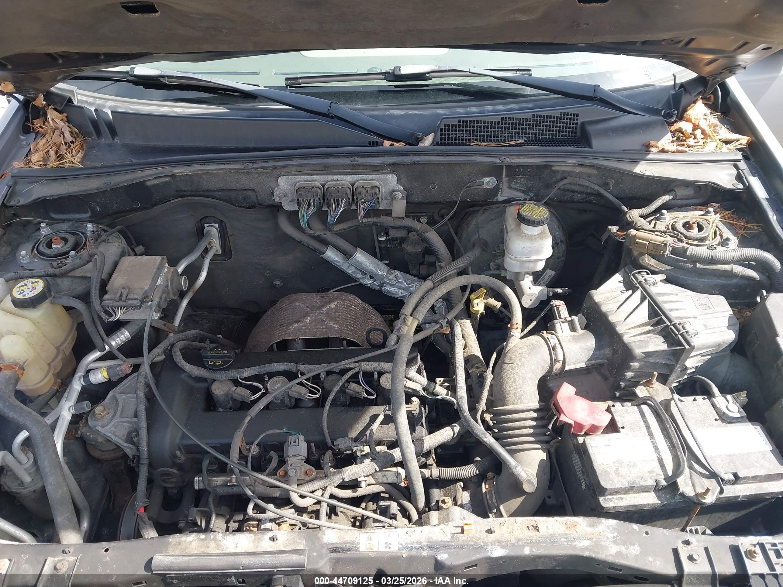 FORD ESCAPE image 10