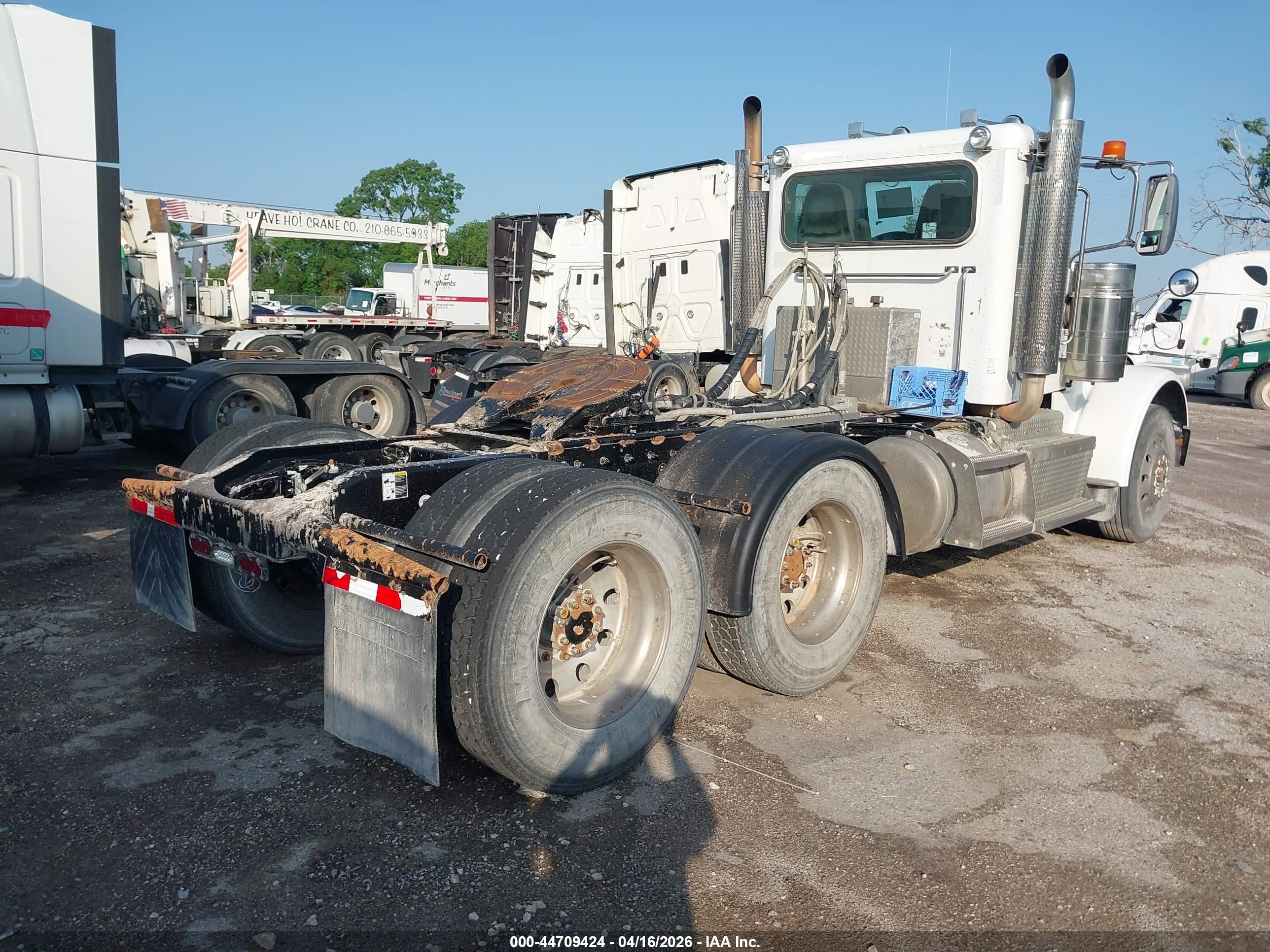 PETERBILT 389 image 4
