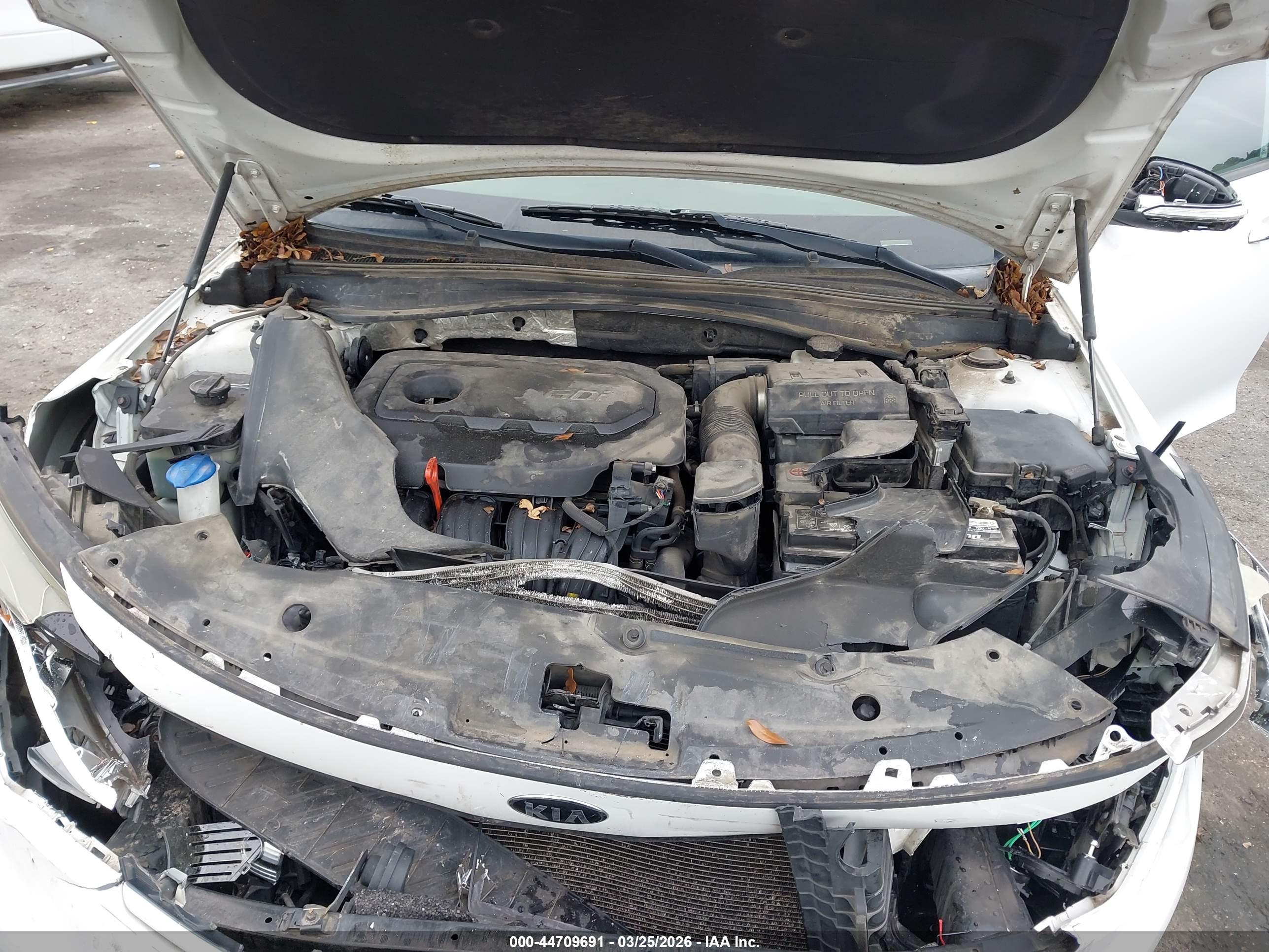 KIA OPTIMA image 10