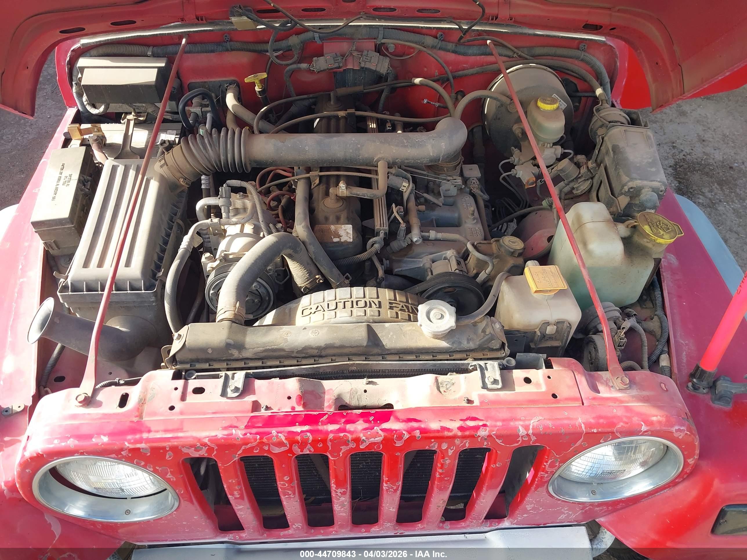 JEEP WRANGLER image 10