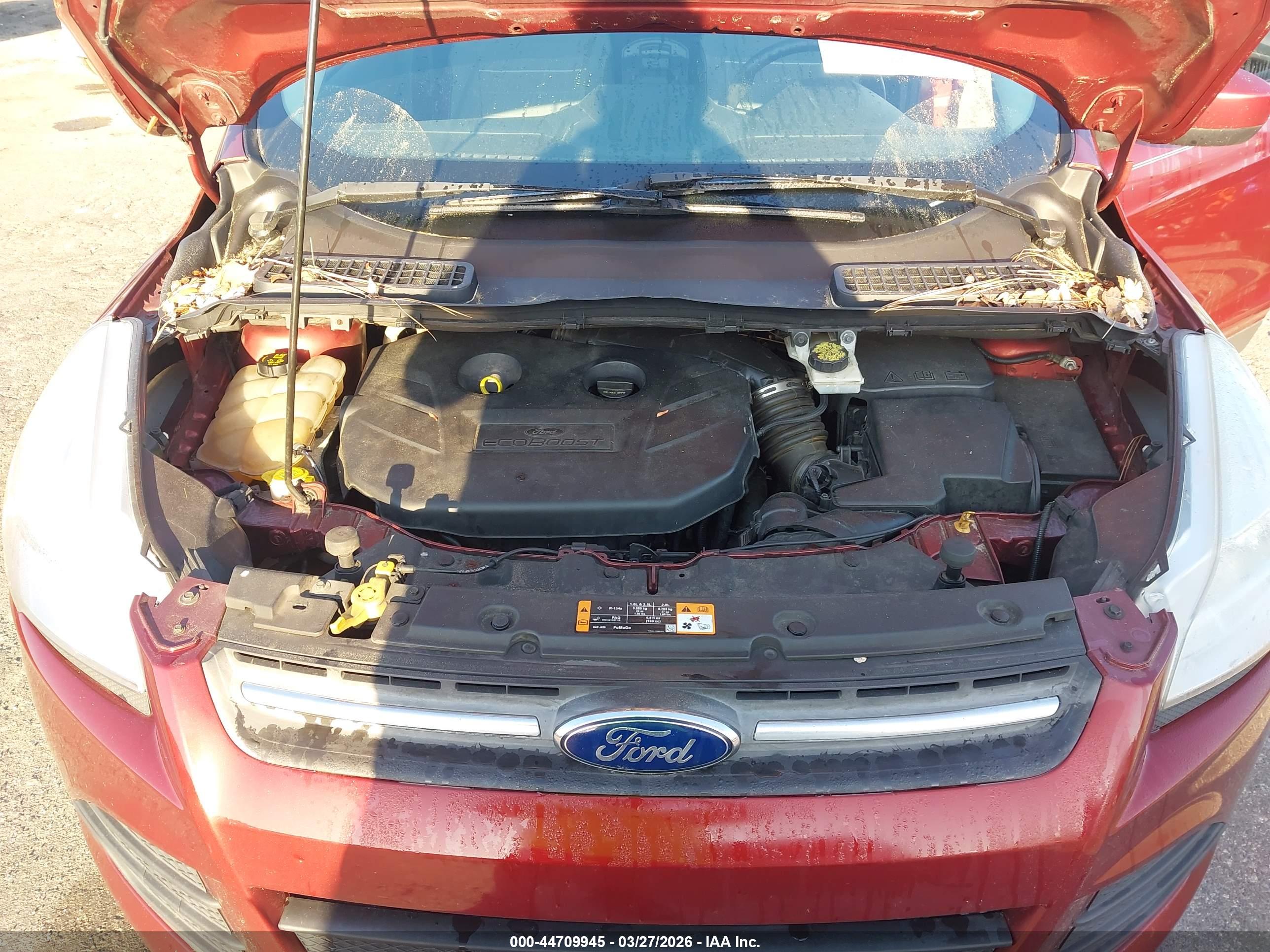 FORD ESCAPE image 10
