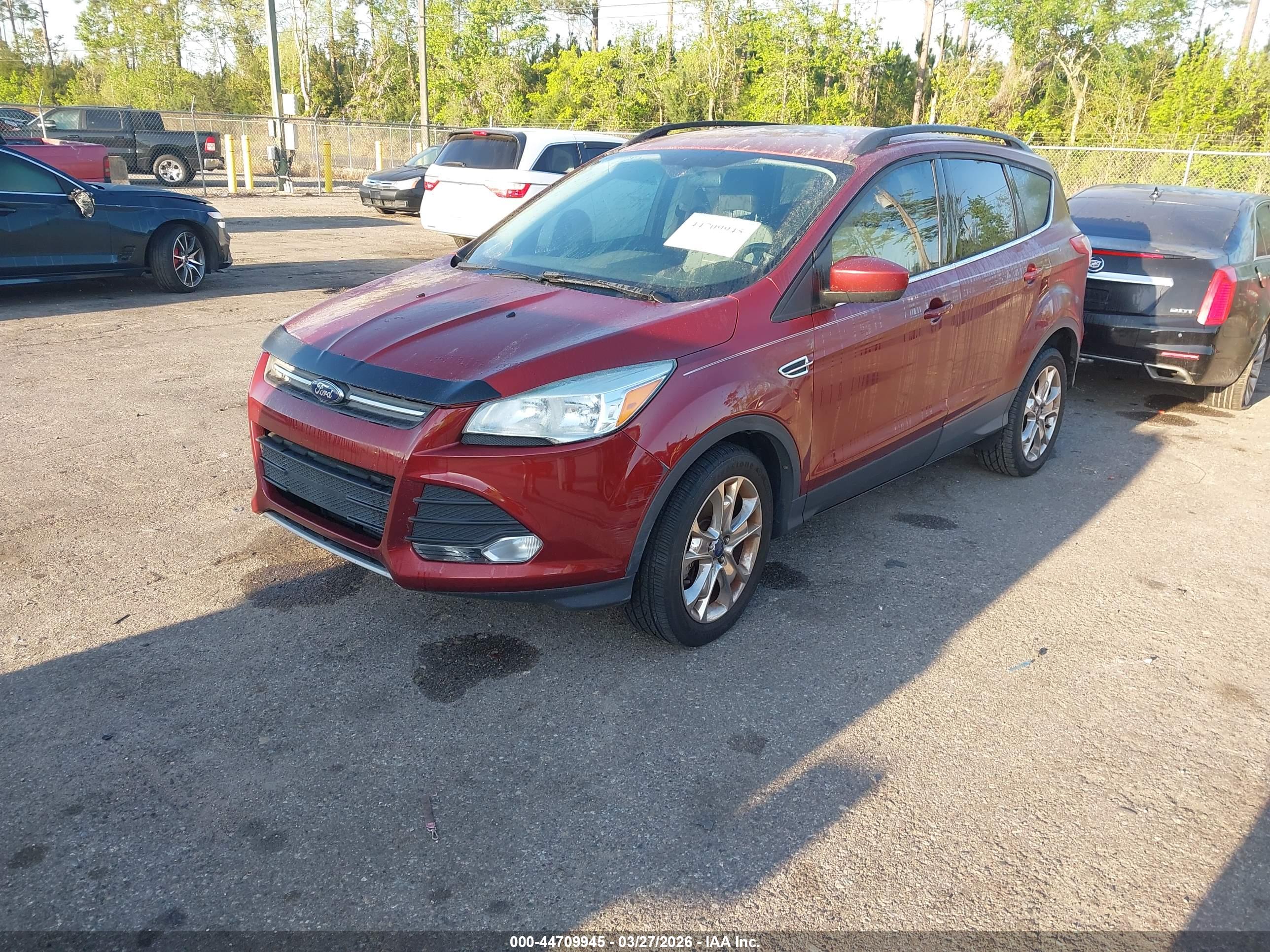 FORD ESCAPE image 2