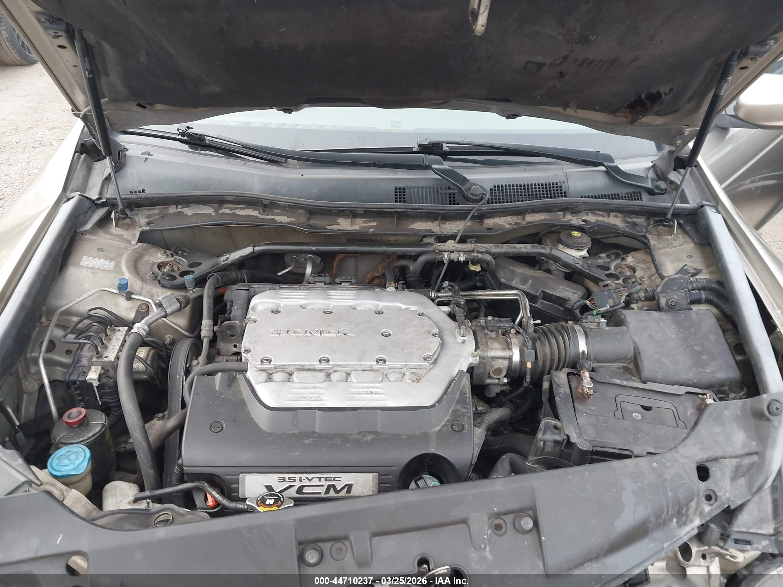 HONDA ACCORD image 10